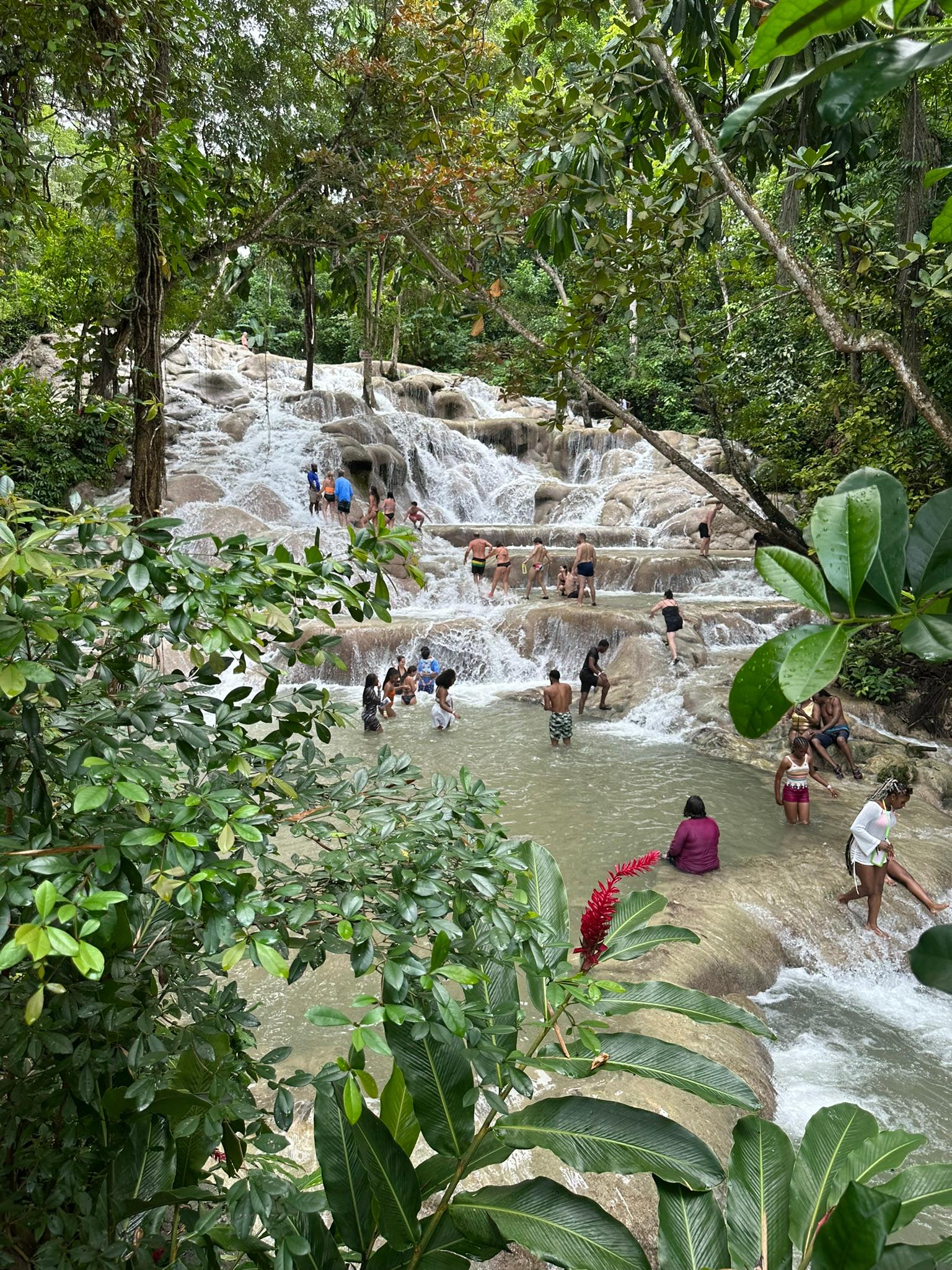 Dunn’s River Falls Guided Adventure from Ocho Rios