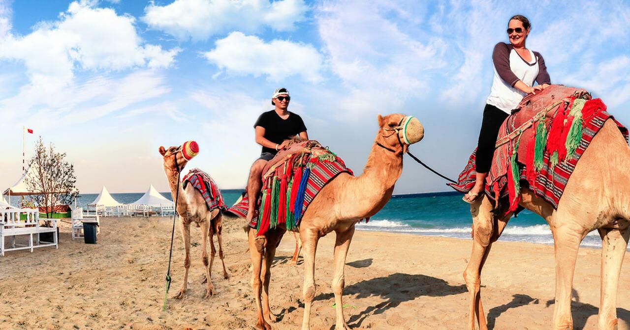 Doha Desert Safari: Dunes, Quad Biking & Inland Sea
