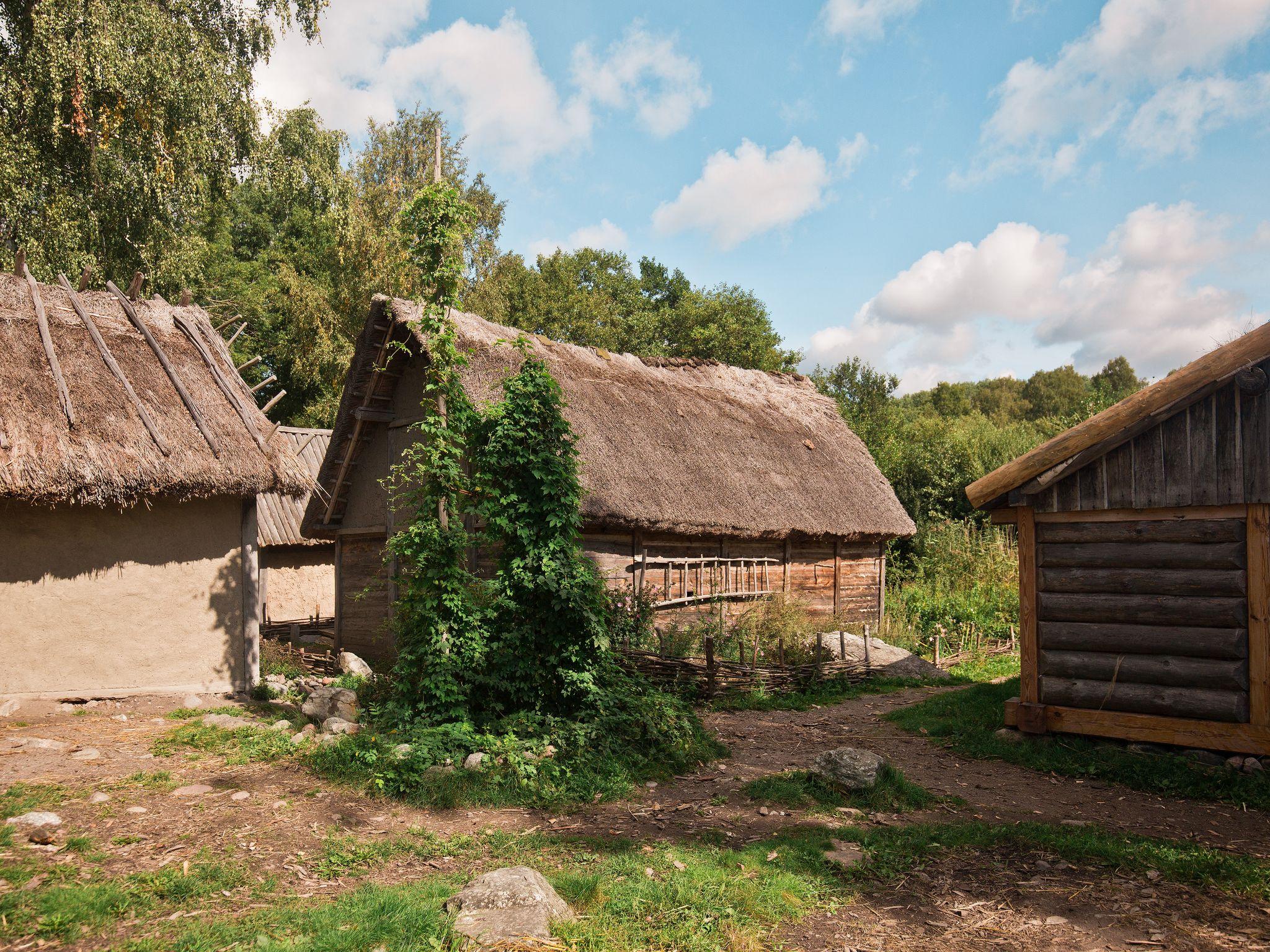 Birka: Viking City – Boat Trip from Stockholm City Hall