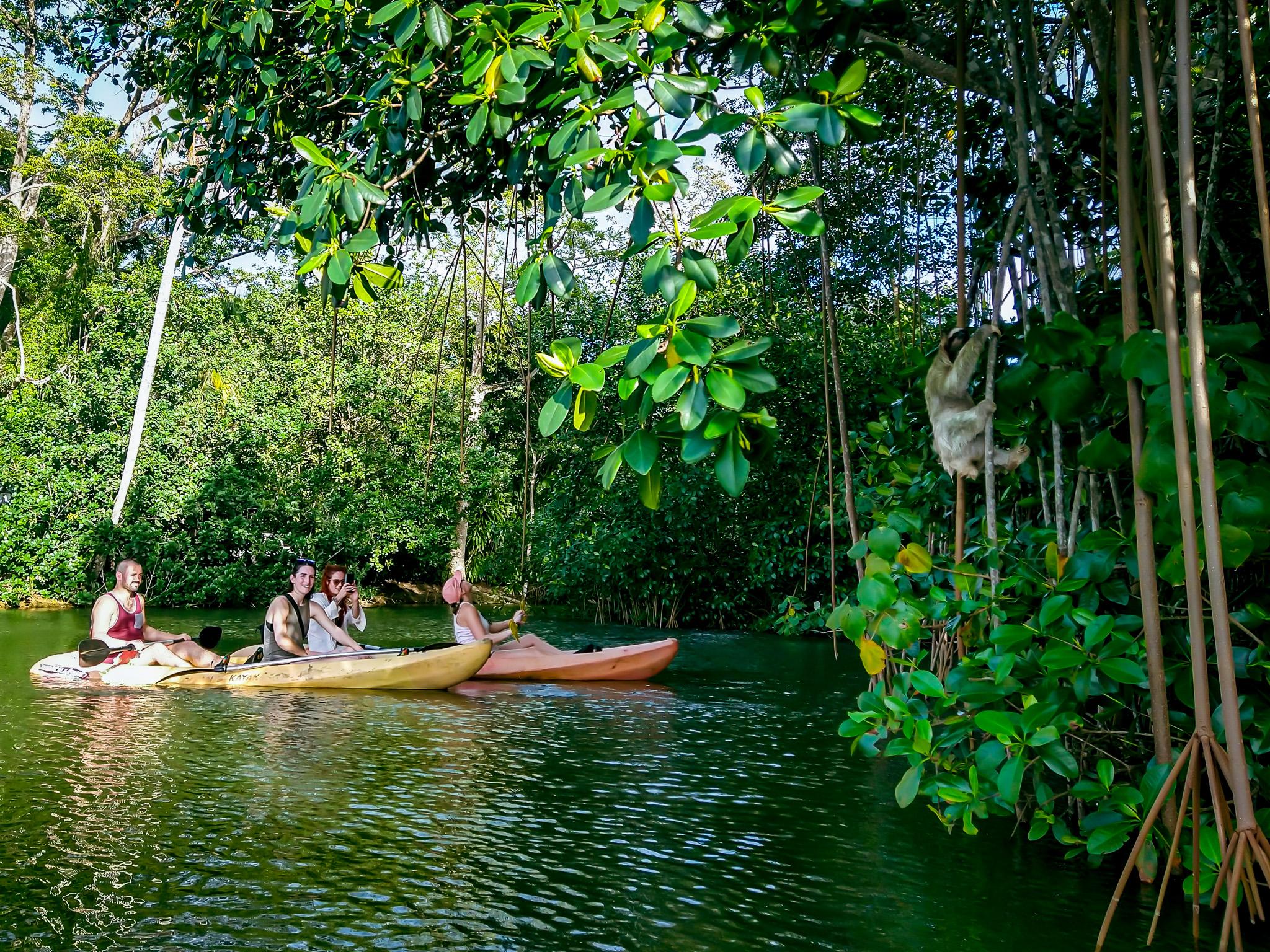 Punta Uva Wildlife Kayaking & Jungle Trail Tour