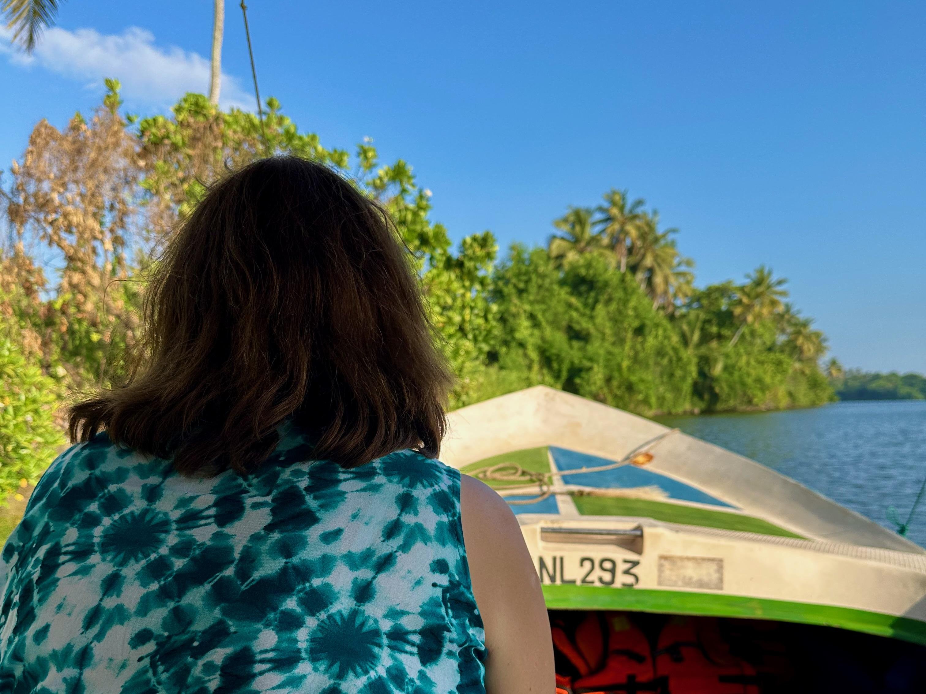 Bentota River Safari, Big Buddha & Tea Plantation Discovery