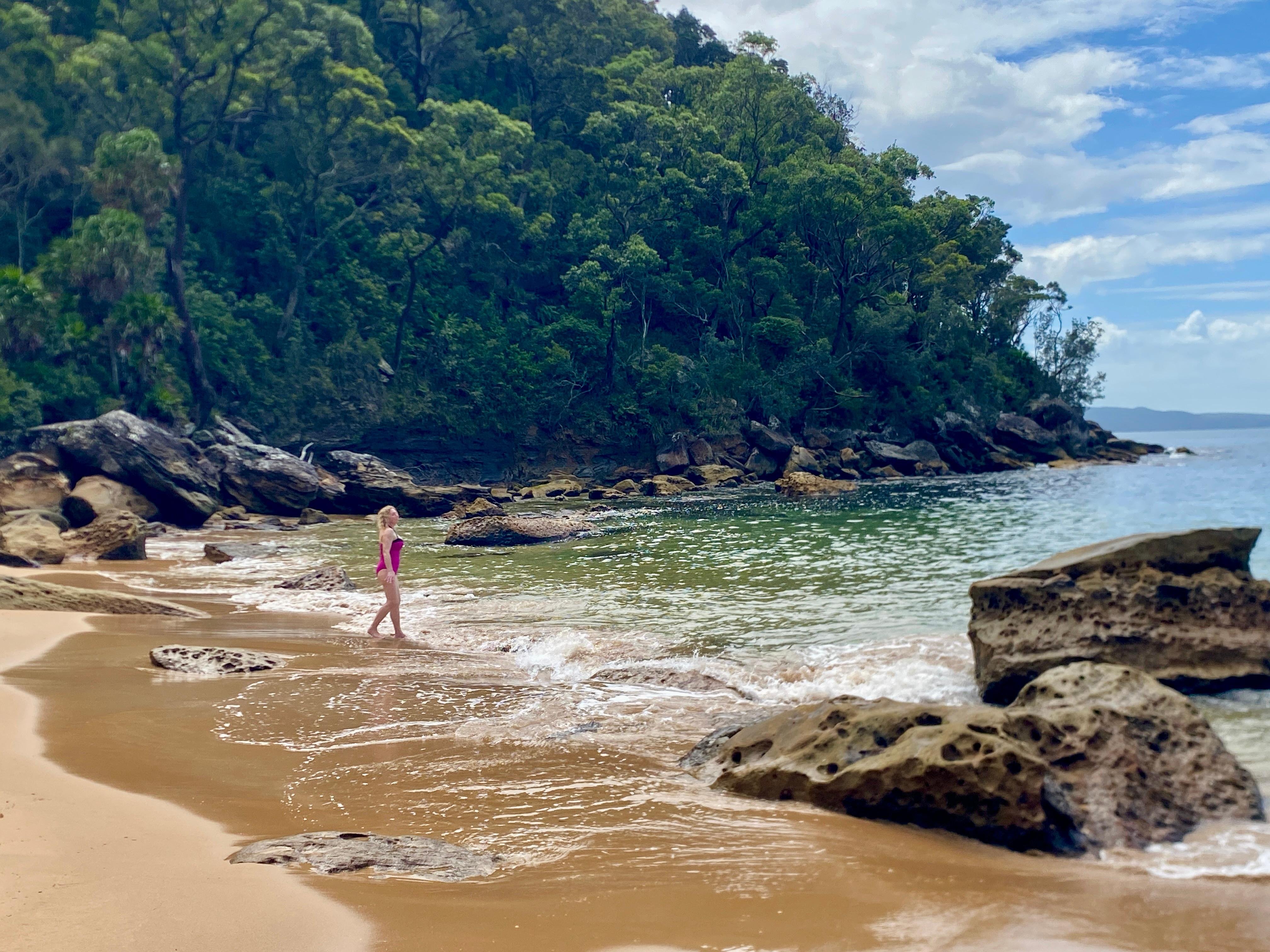 Ku-ring-gai Chase Private Tour with Bushwalk & Swim