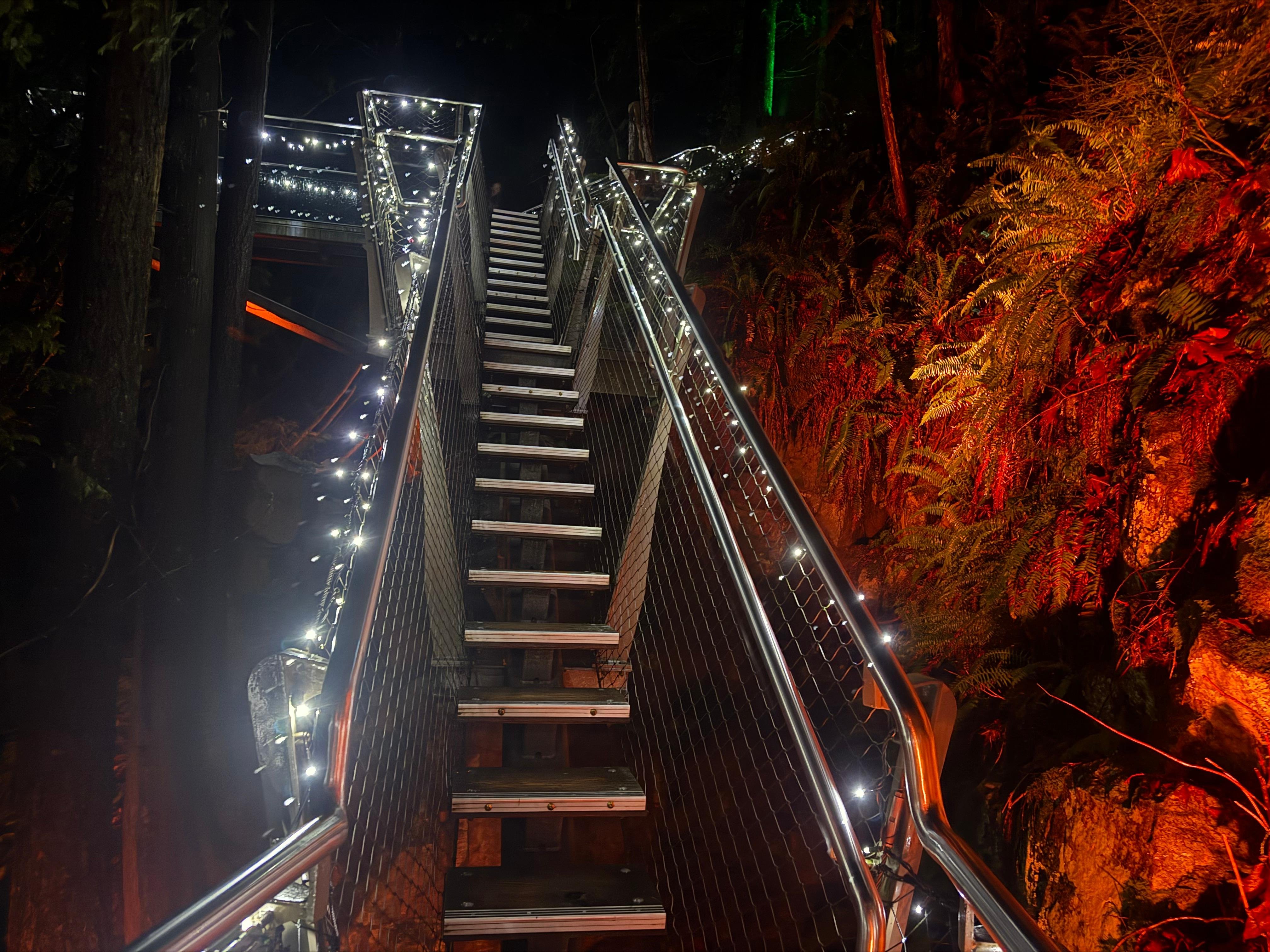 Capilano Suspension Bridge & Stanley Park Small Group Tour