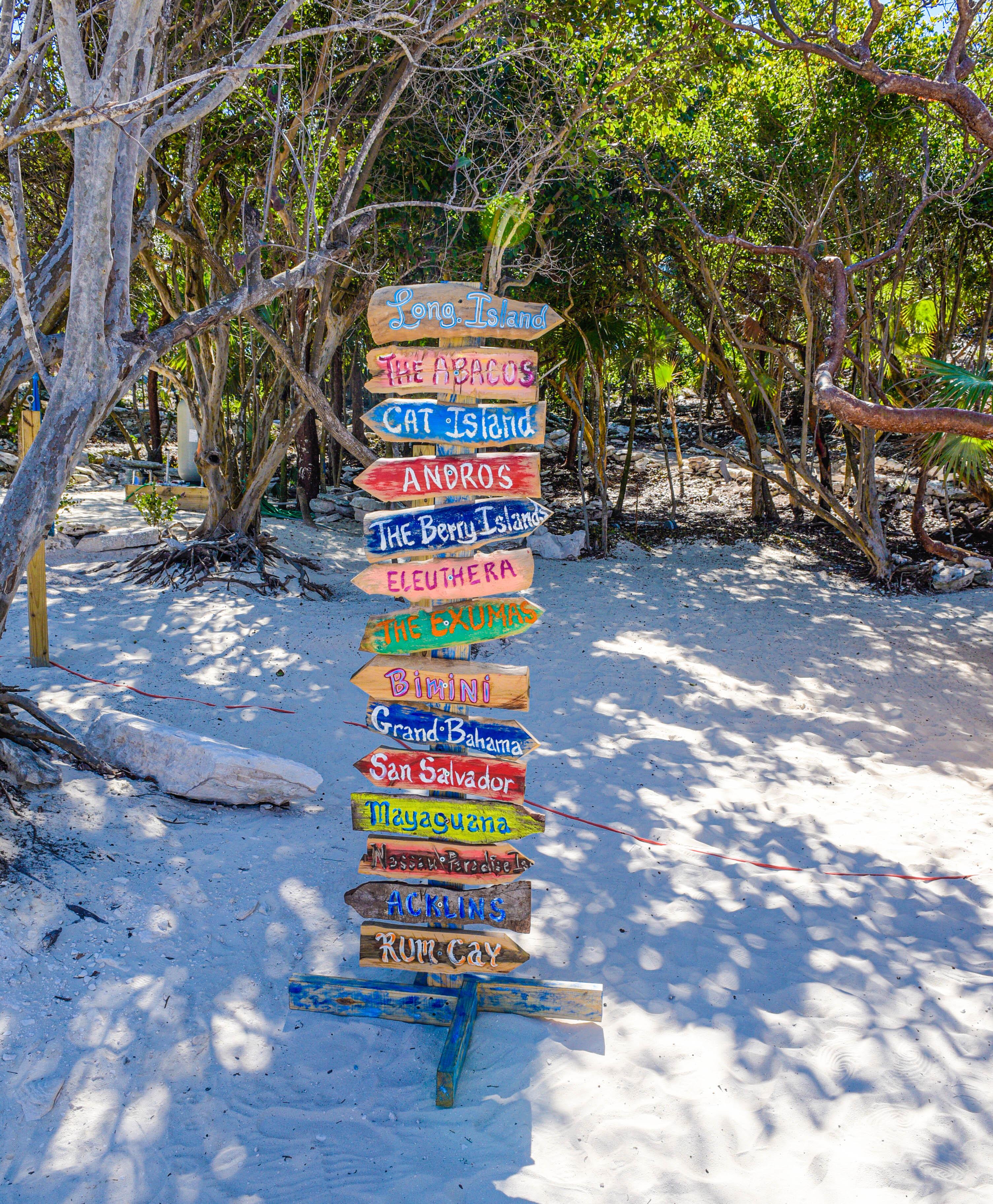 Nassau 3-Island Speedboat Adventure: Pigs, Turtles & Snorkeling