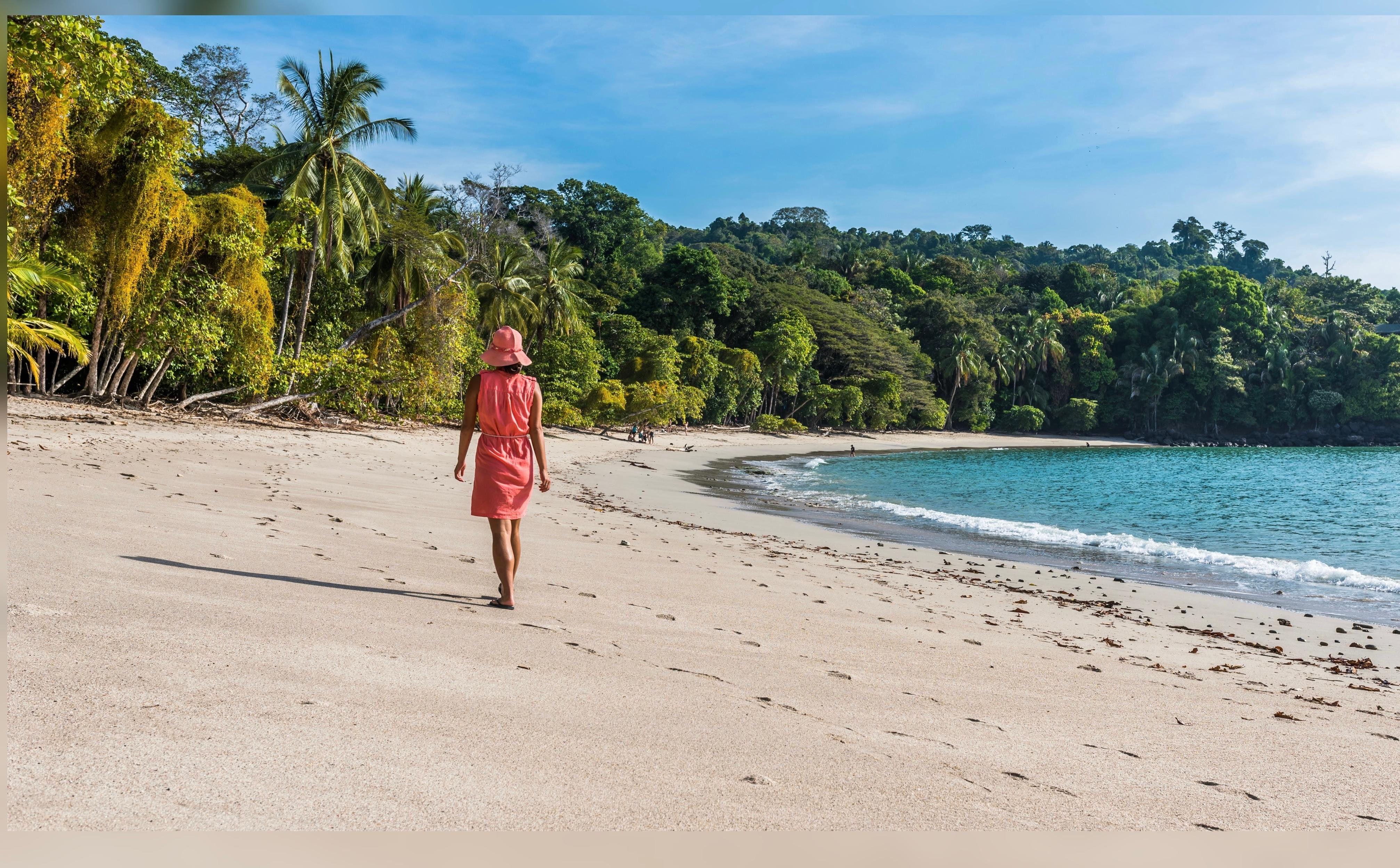 Manuel Antonio National Park: Naturalist-Led Wildlife Walking Tour