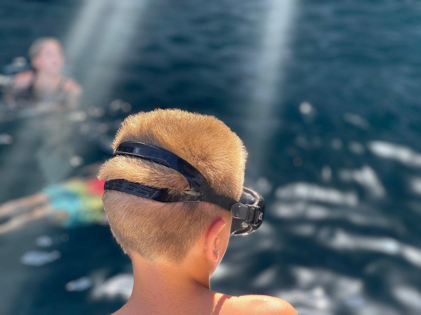Dubrovnik: Elaphiti Islands Speedboat Tour with Blue Cave & Sunj Beach