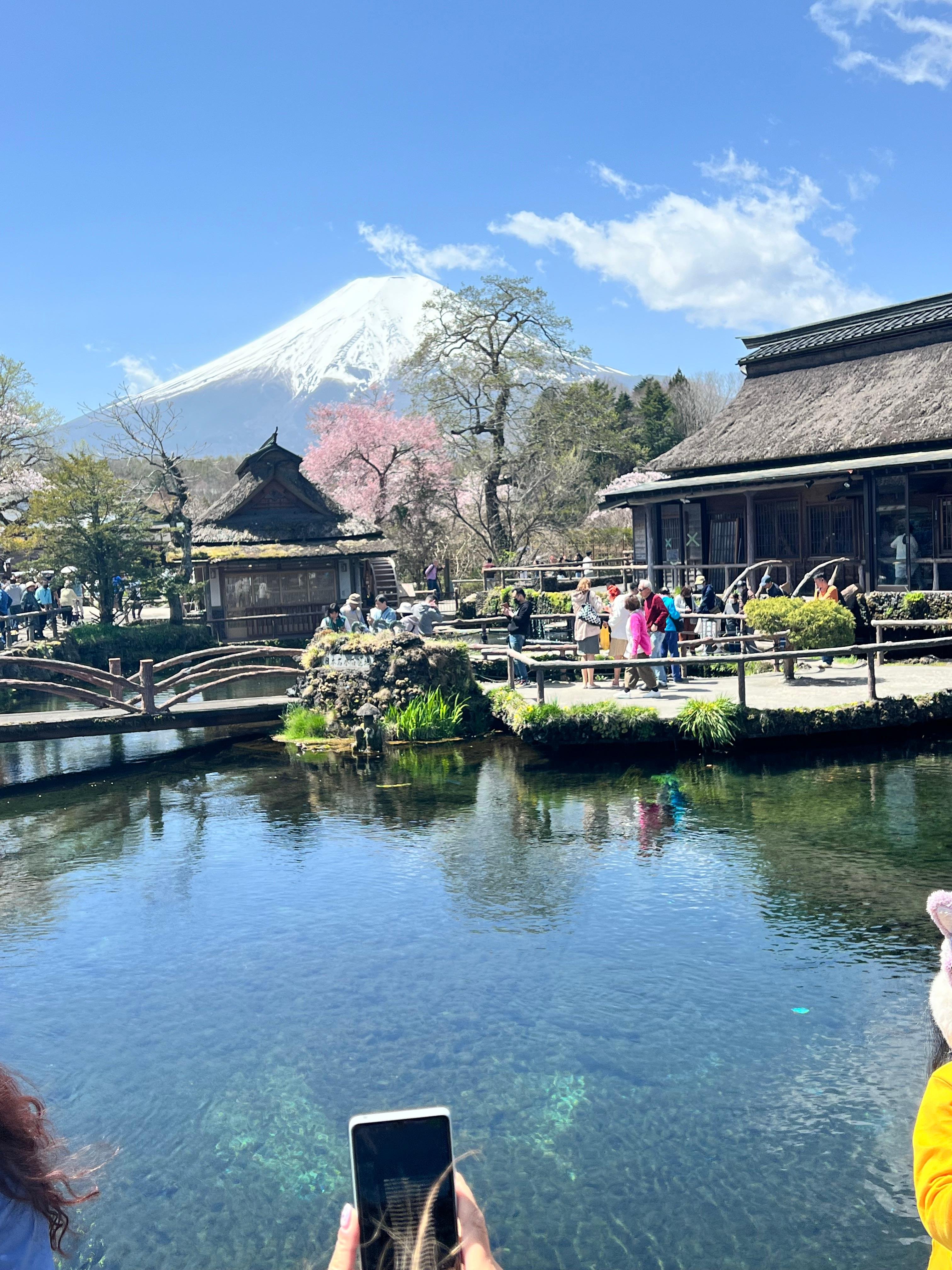 Mount Fuji & Hakone Private Full-Day Tour from Tokyo