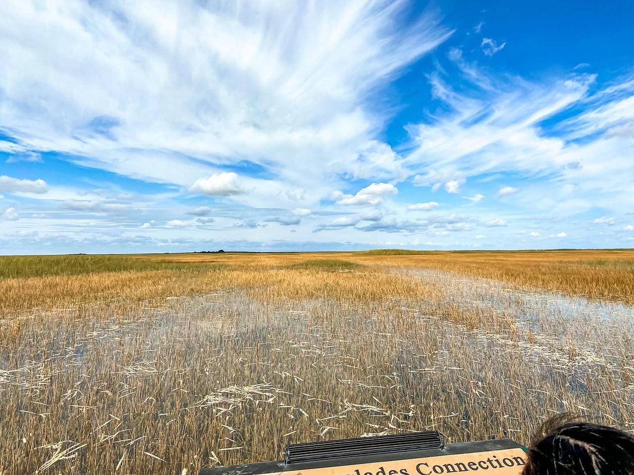 Everglades Small-Group Airboat Adventure