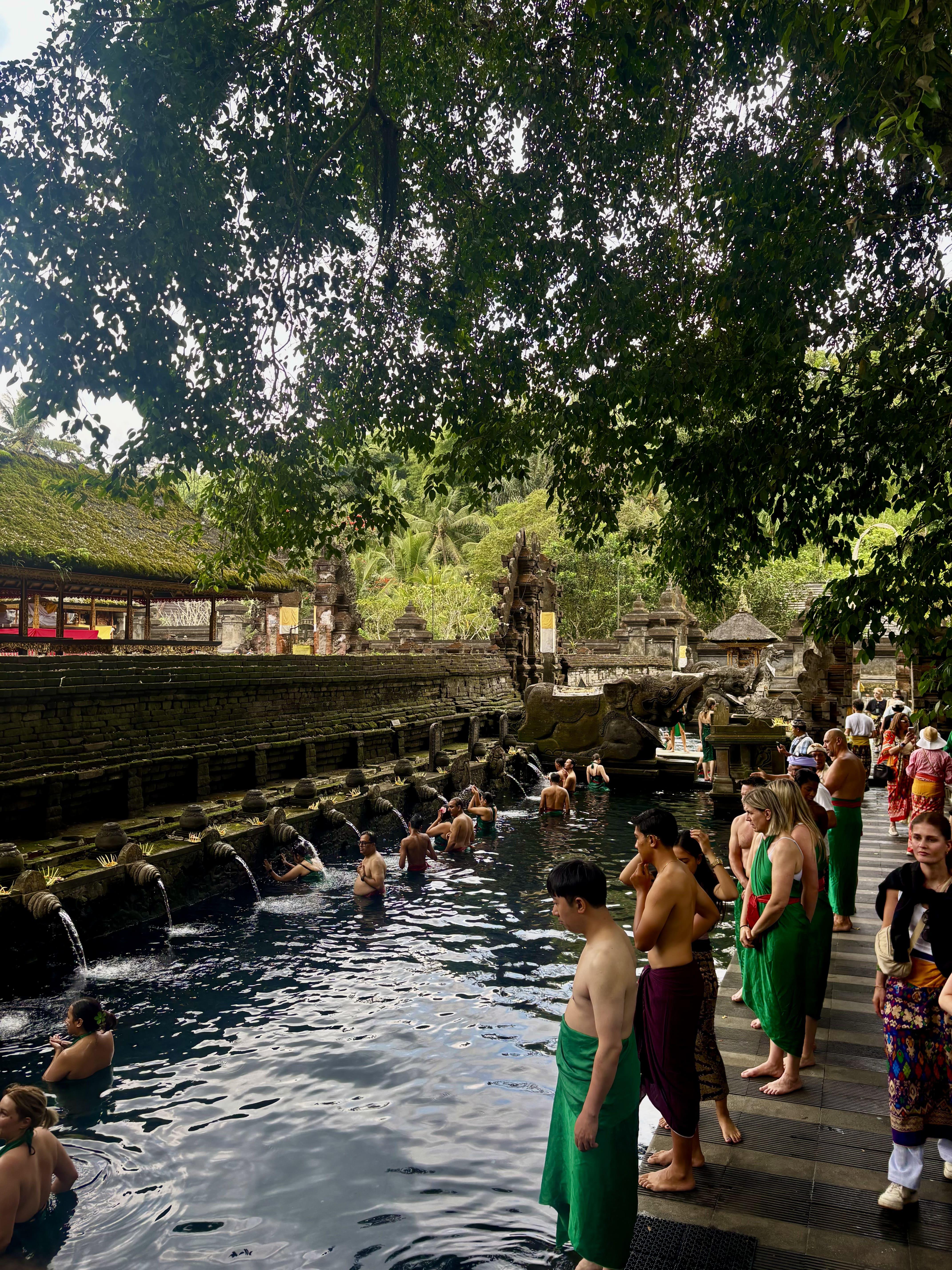 Ubud Highlights: Monkey Forest, Waterfall & Tirta Empul