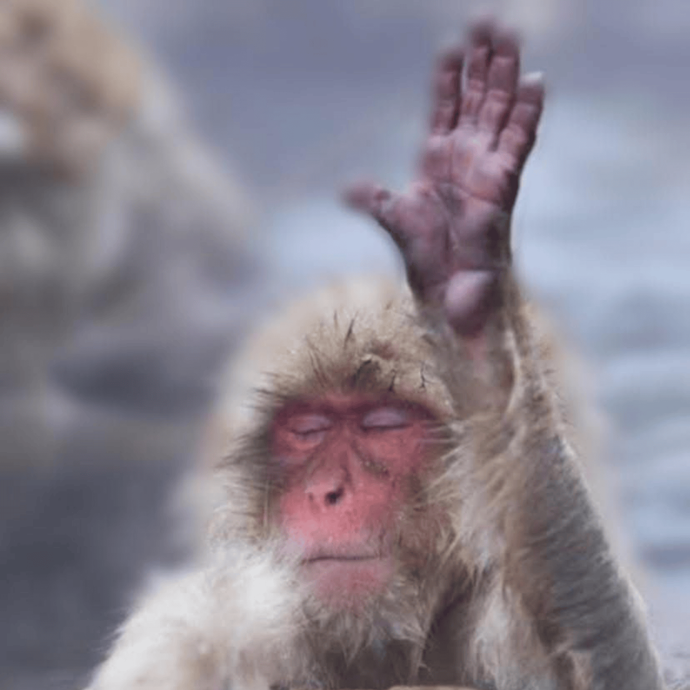 Private Nagano Day Tour: Snow Monkeys, Zenko-ji & Hot Springs from Tokyo