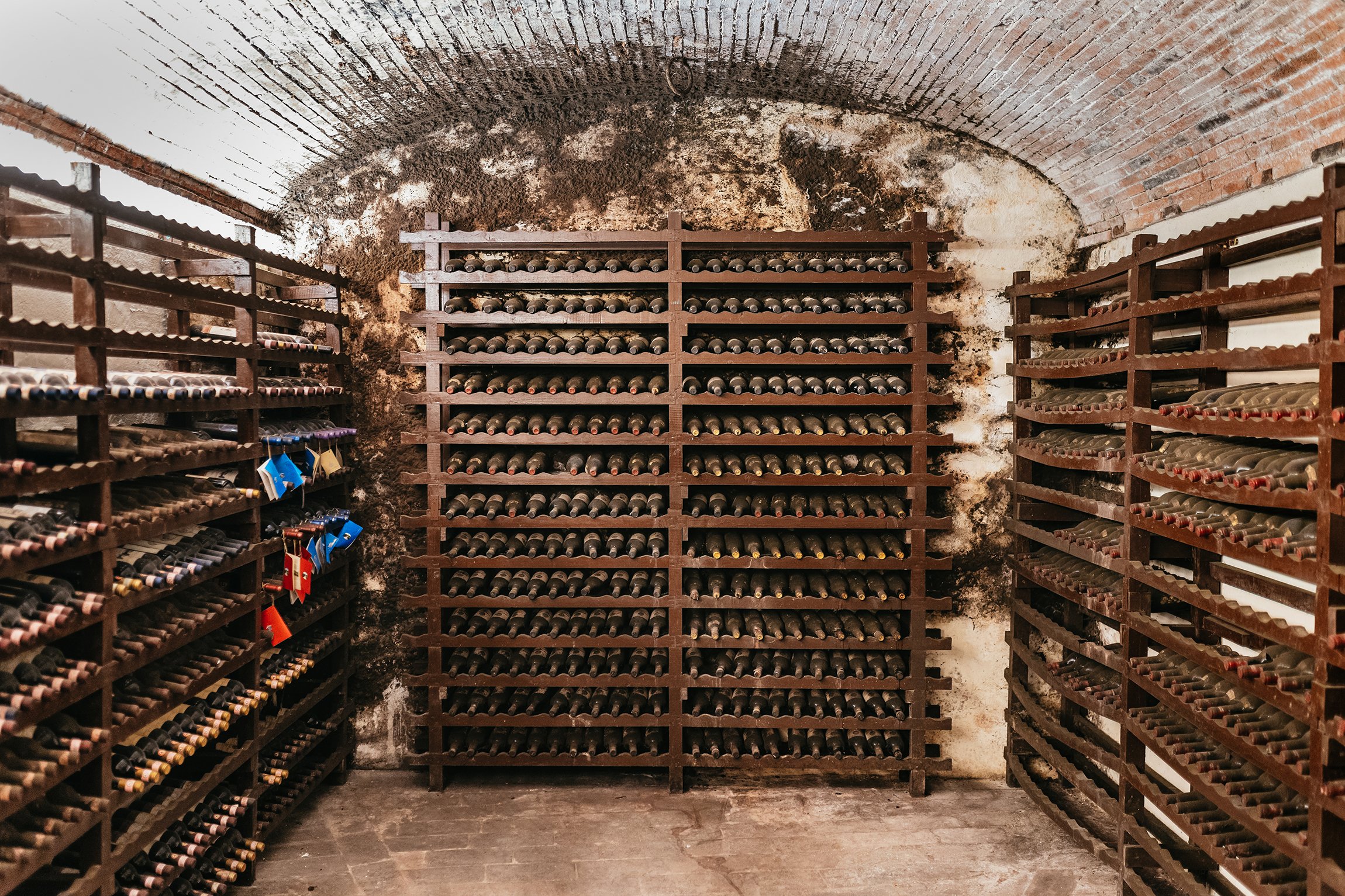 wine tour in Tuscany — photo 19
