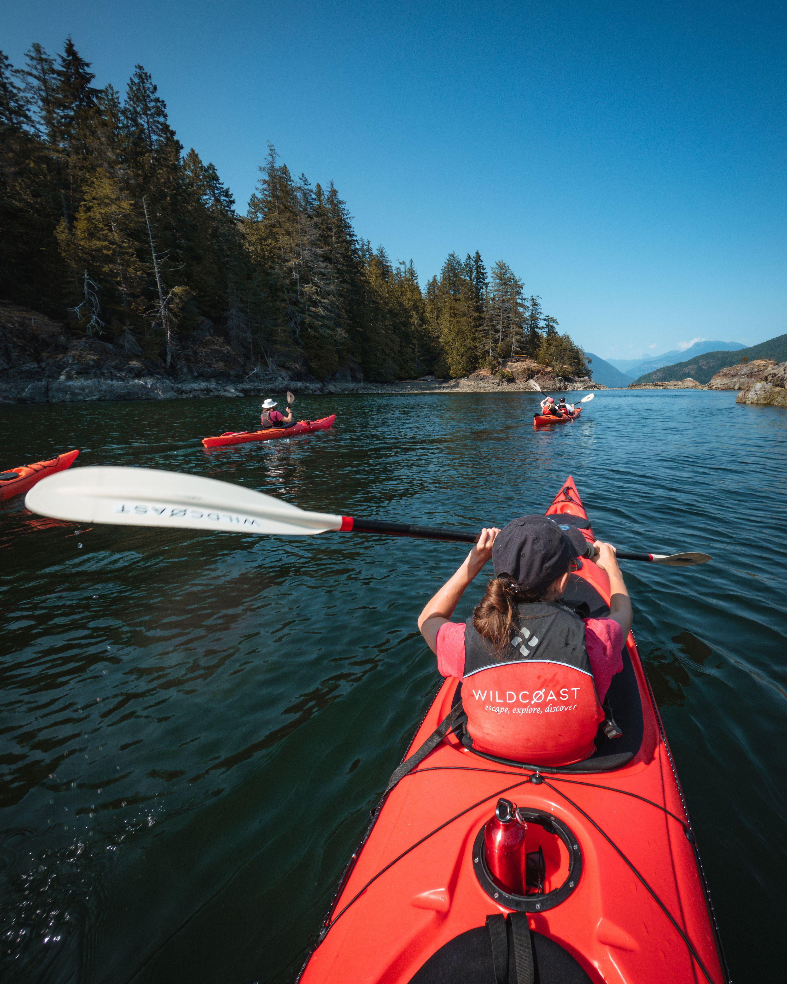 Campbell River Kayaking & Whale Watching Expedition