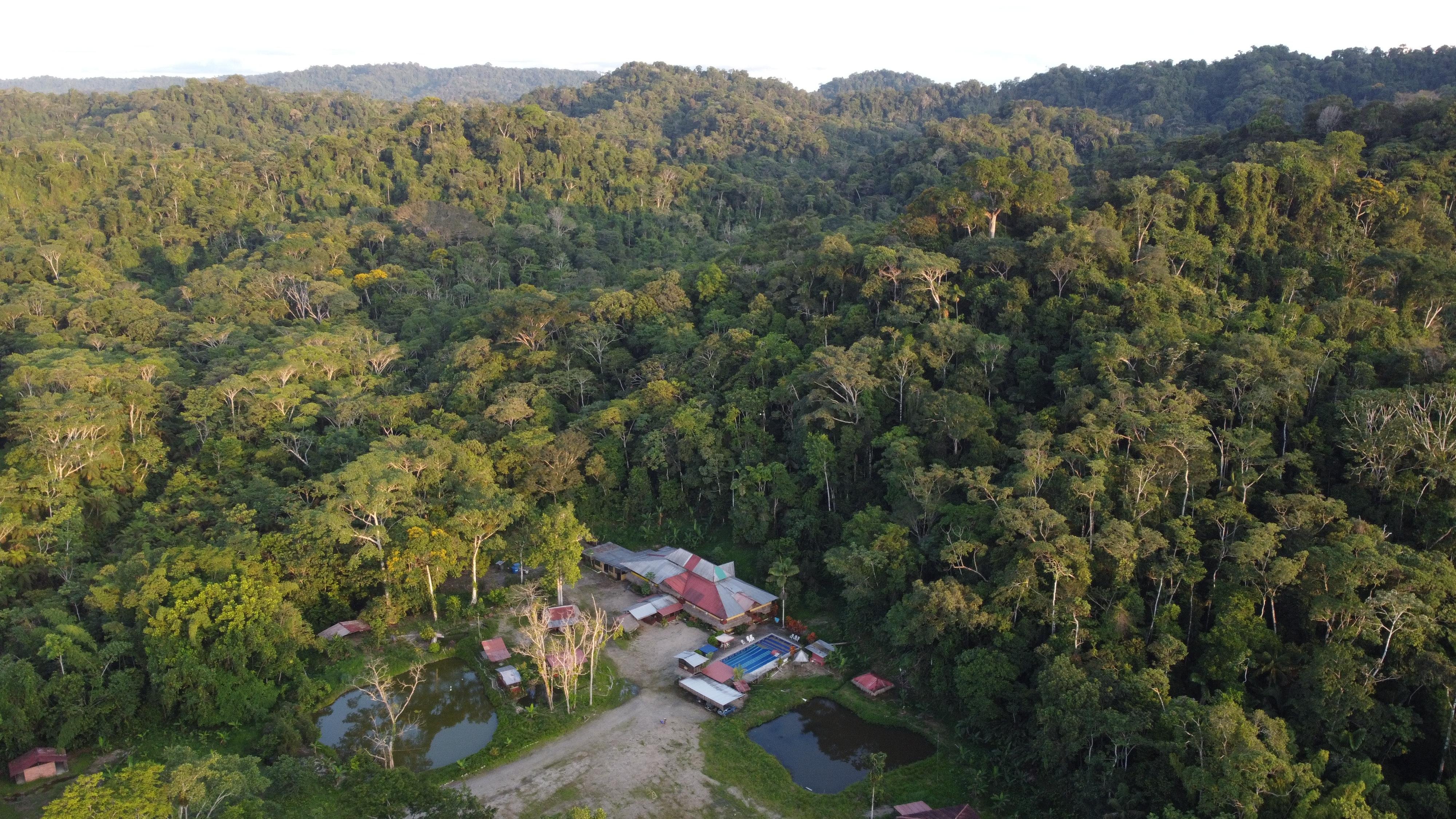3-Day Amazon Jungle Expedition from Tena – All Inclusive