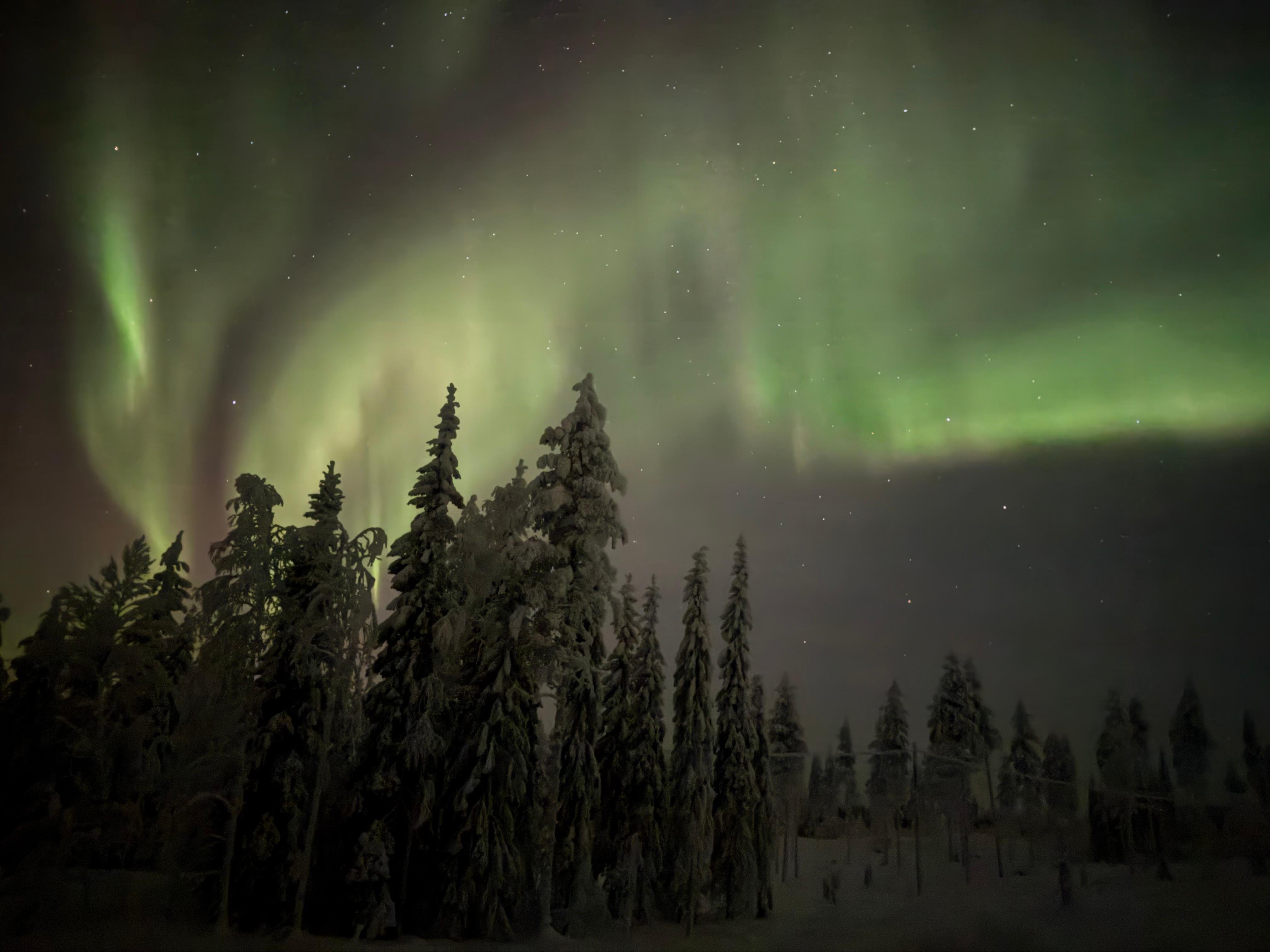 Rovaniemi Private Northern Lights Road Trip