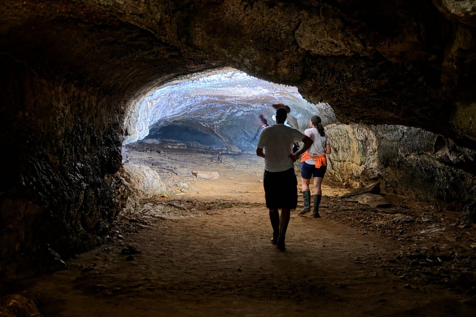 Santa Cruz Giant Tortoises & Lava Tunnels Exploration