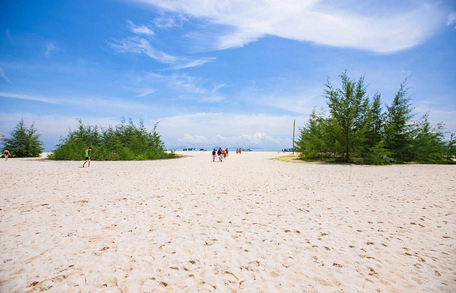 Krabi: Maya Bay, Phi Phi & Bamboo Island Speedboat Day Tour