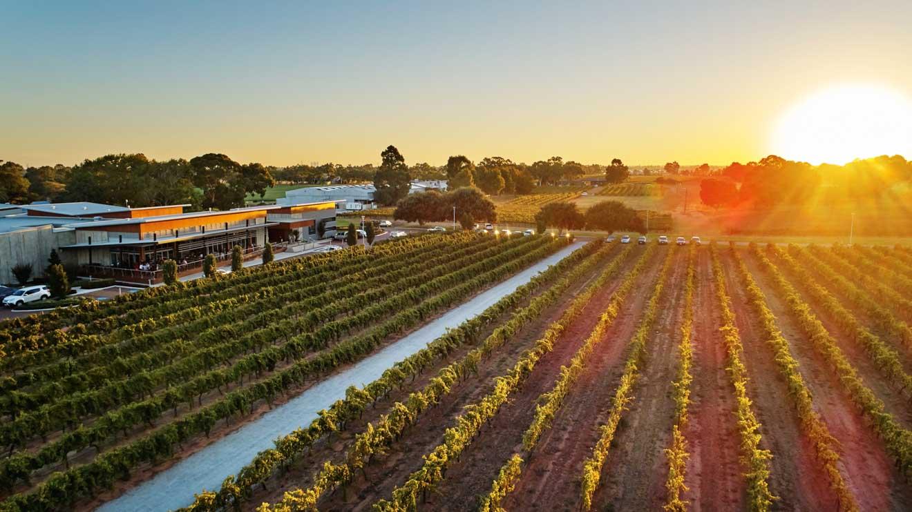 Margaret River Wine Flight & Tasting