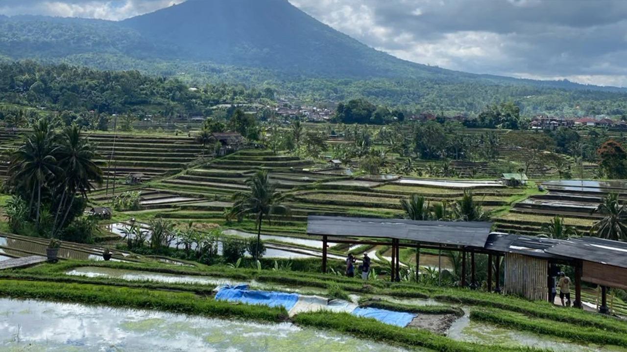 Private Ubud Cultural & Nature Day Tour with Local Driver