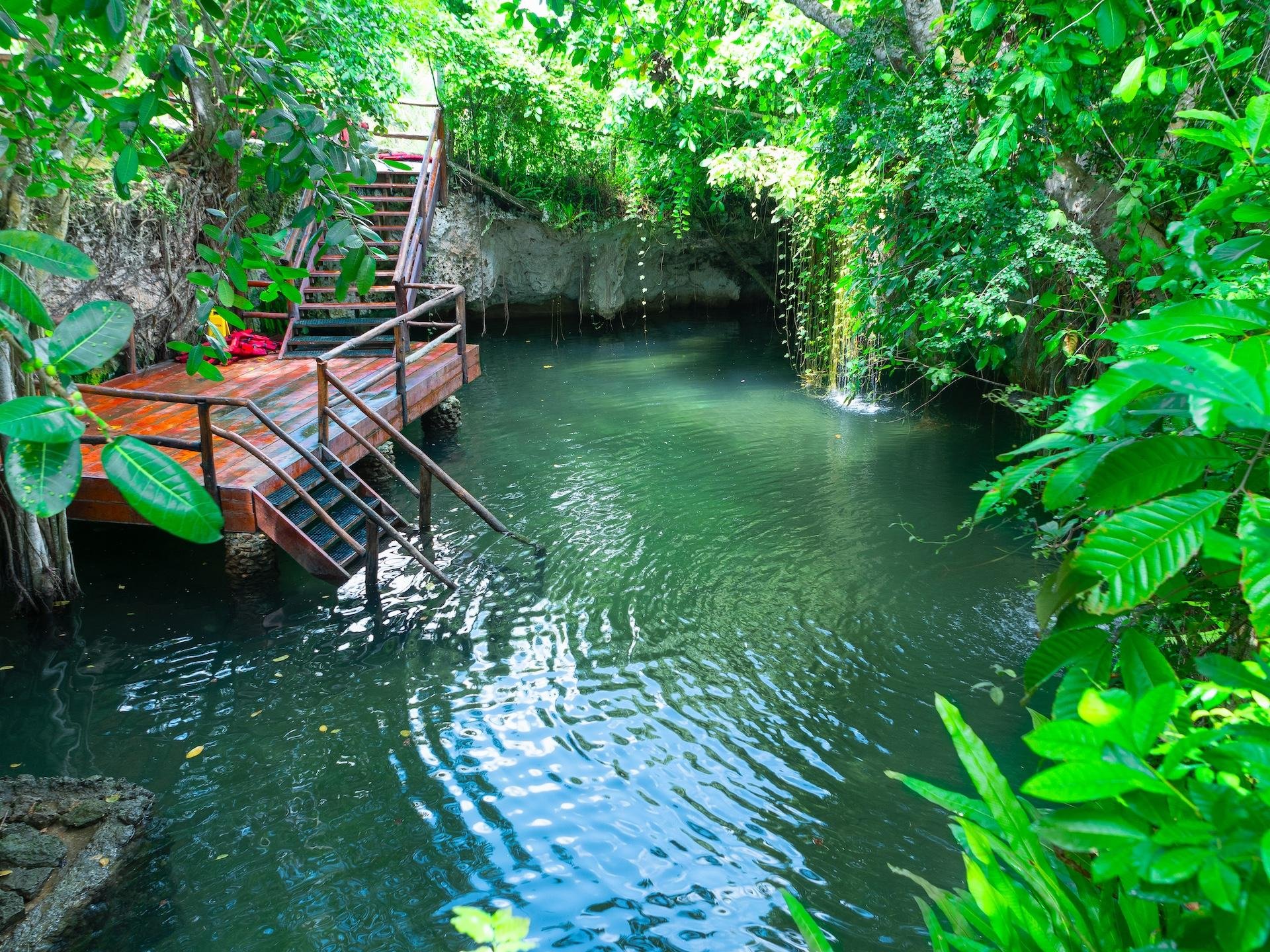 Punta Cana Monkey Park, Dominican Farm & Cenote Swim – Full Day Combo
