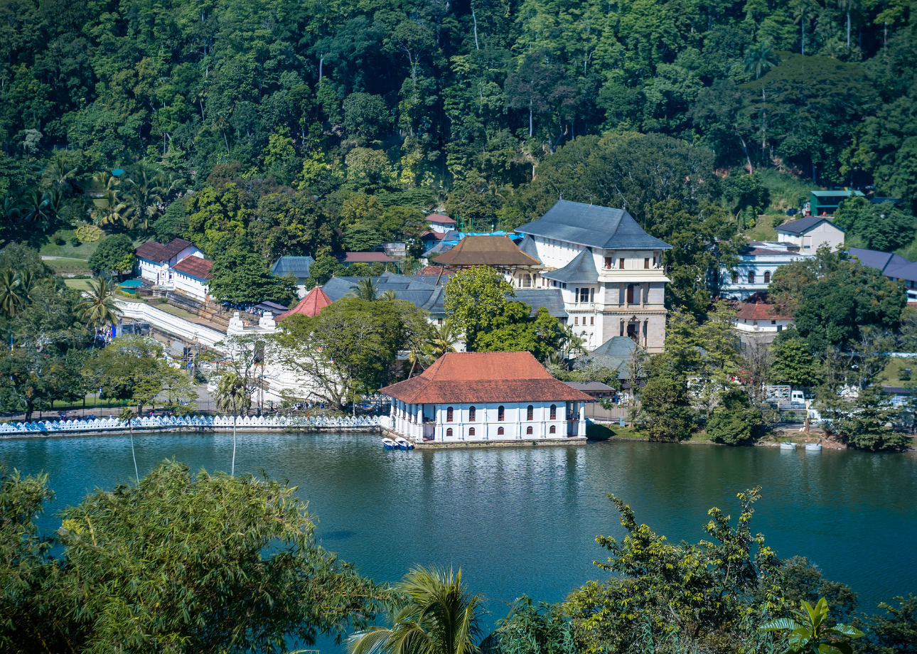 Kandy Heritage & Tea Country Day Trip from Bentota