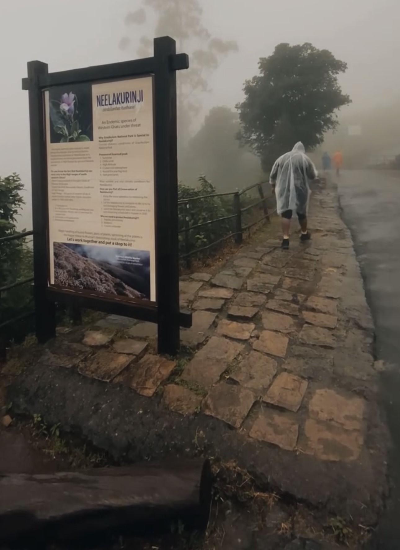 Munnar Highlands & Tea Plantation Day Tour from Kochi