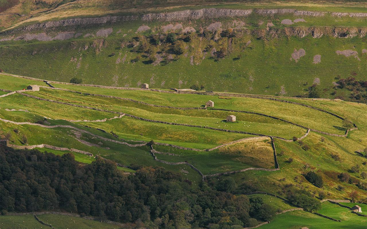 Yorkshire Dales Full-Day Tour from York