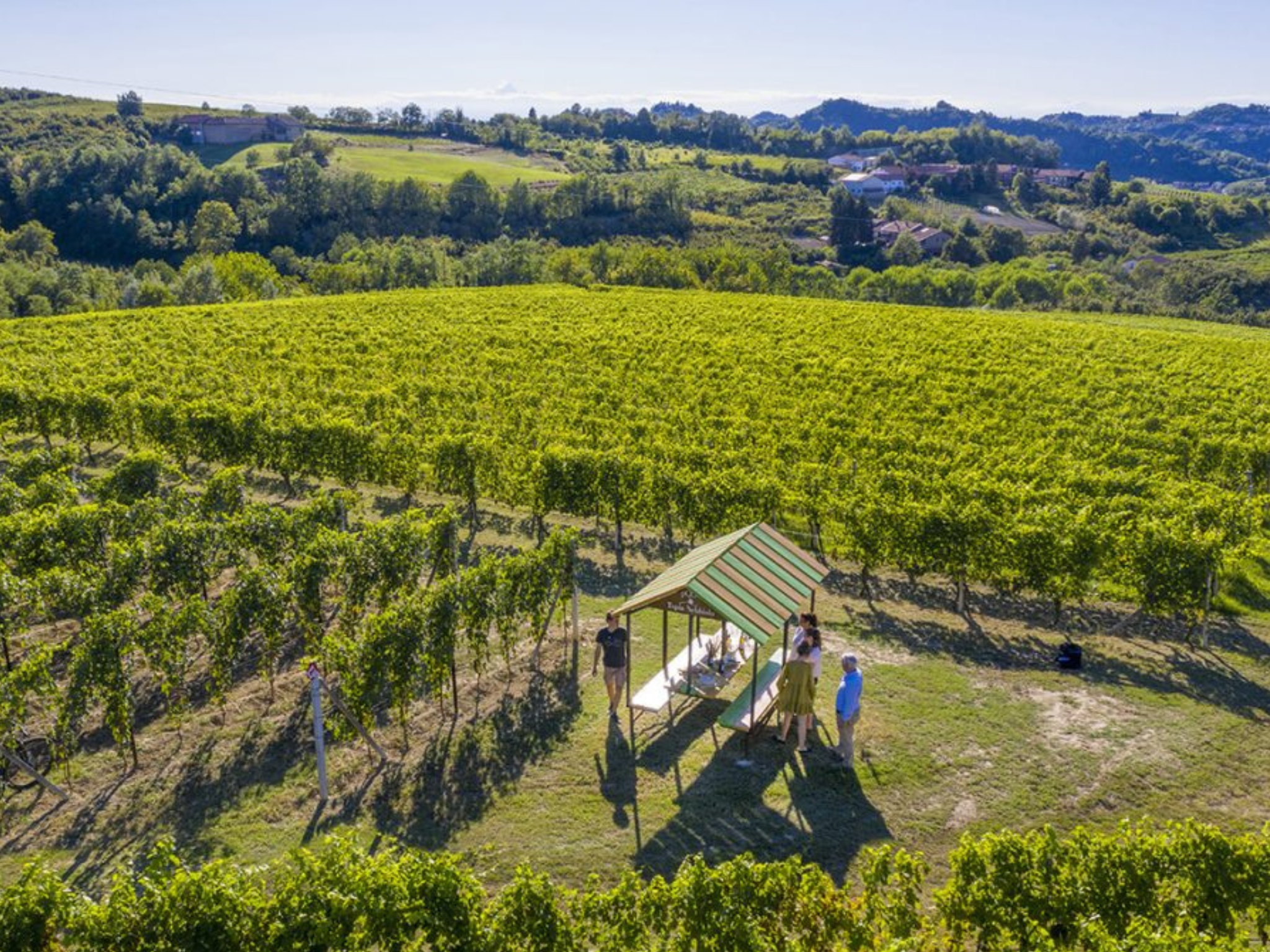 Langhe Wine & Food Pairing Experience near Alba