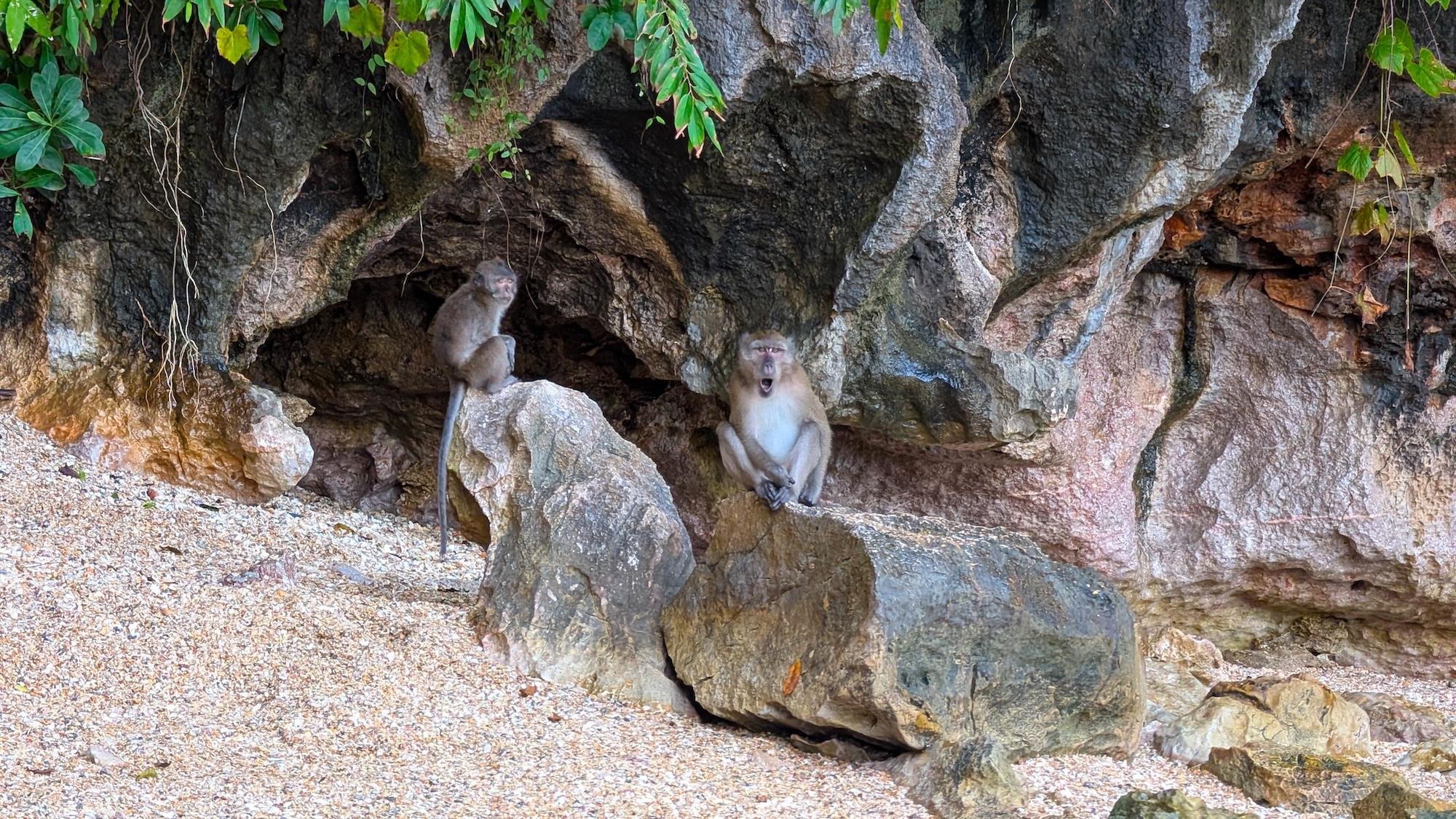 Phang Nga Bay 5-Island Premium Escape