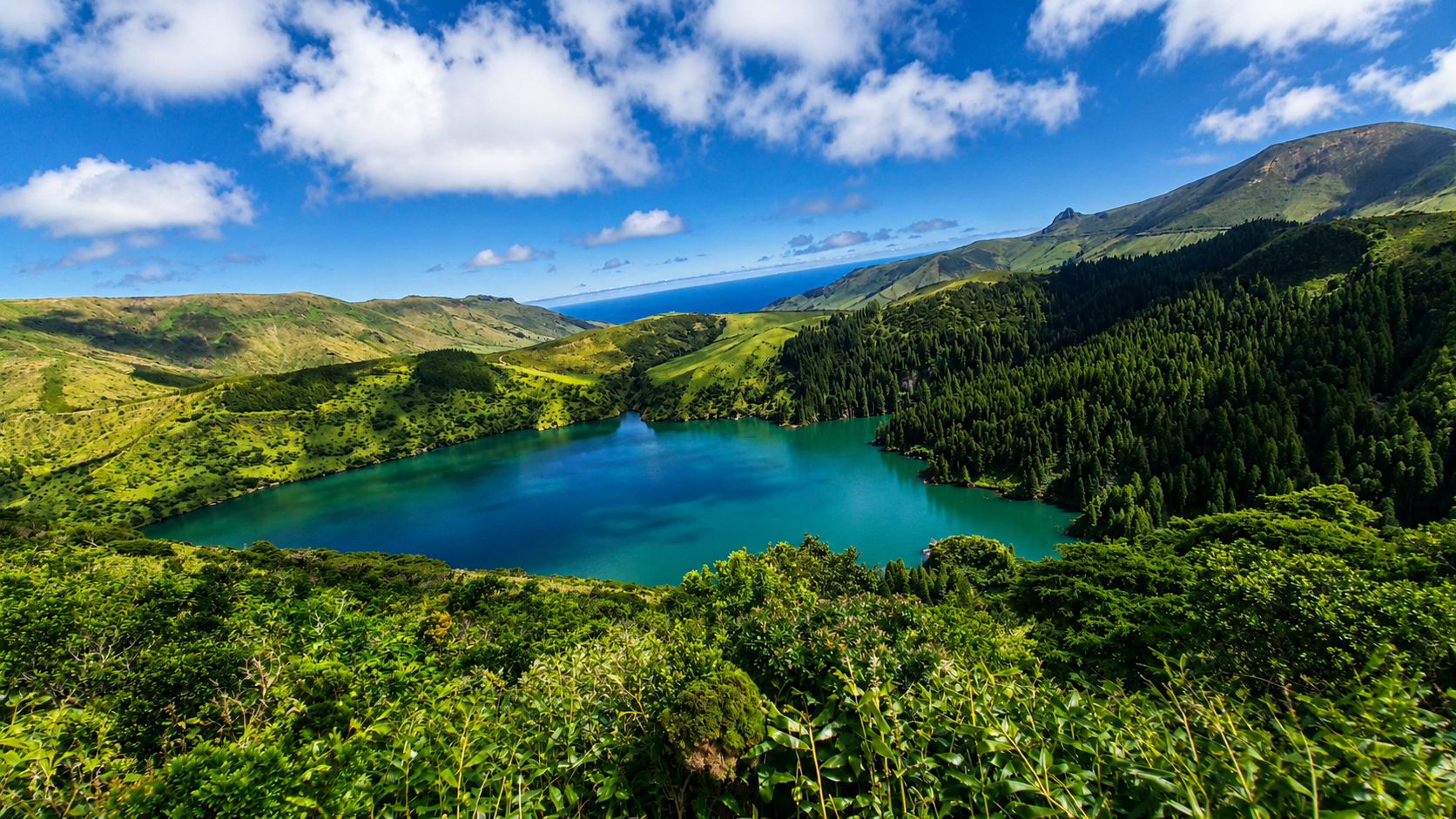 Flores Island Essentials: 4-Hour Guided Discovery