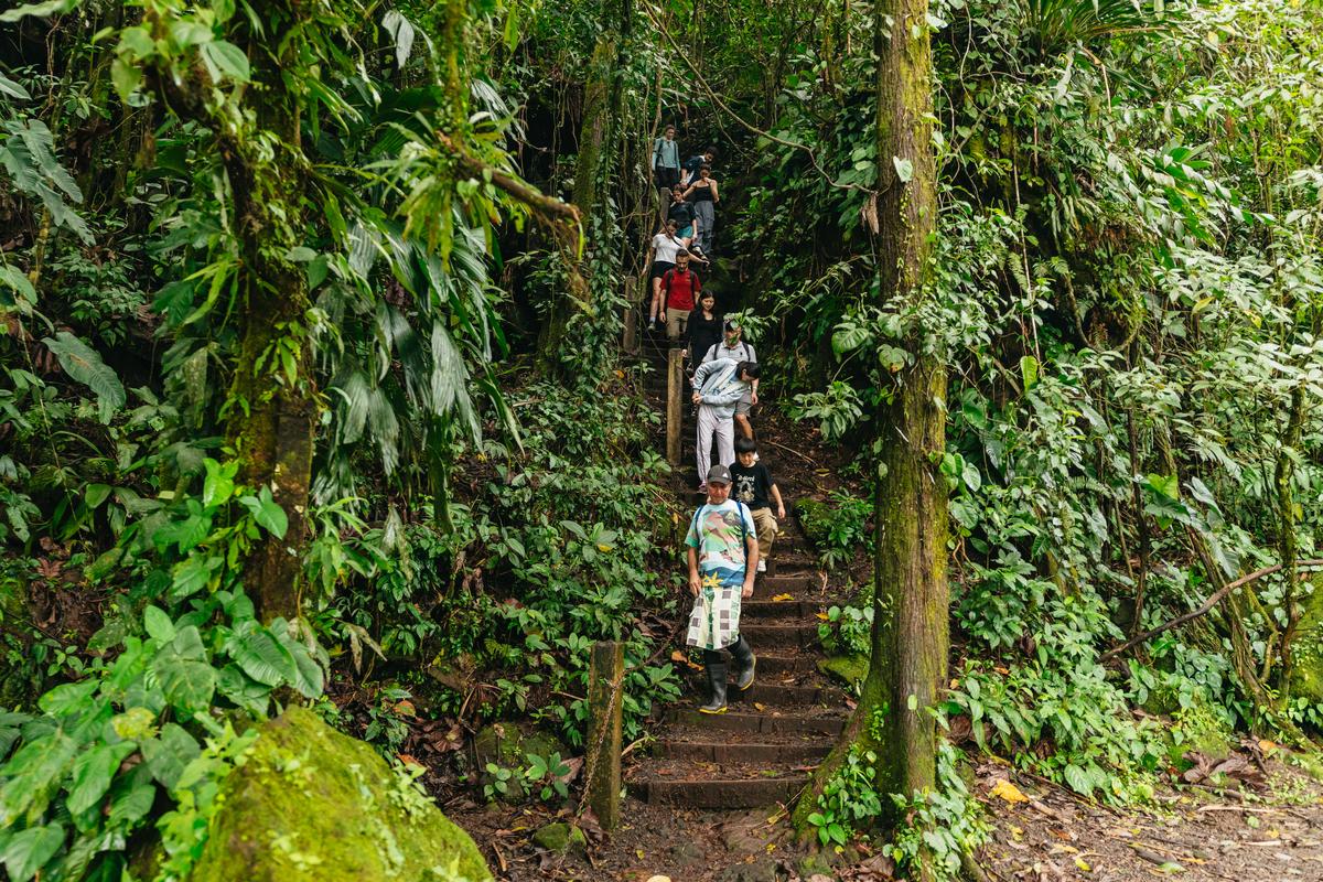 La Fortuna: Waterfall, Volcano & Hot Springs Full-Day Tour