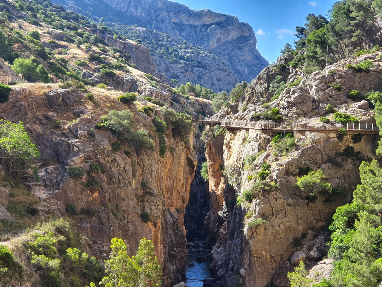Caminito del Rey guided tour from Málaga — cliffside walkway above the Gaitanes Gorge, Andalusia — image 26