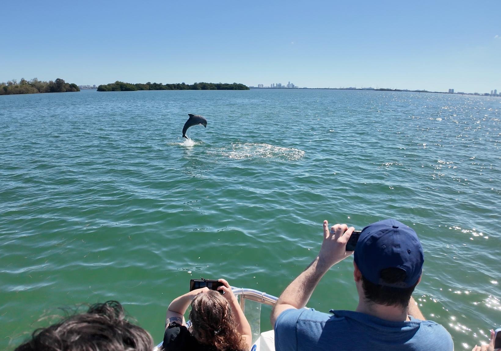 Raccoon Island Miami tour — Biscayne Bay wildlife boat cruise — image 4