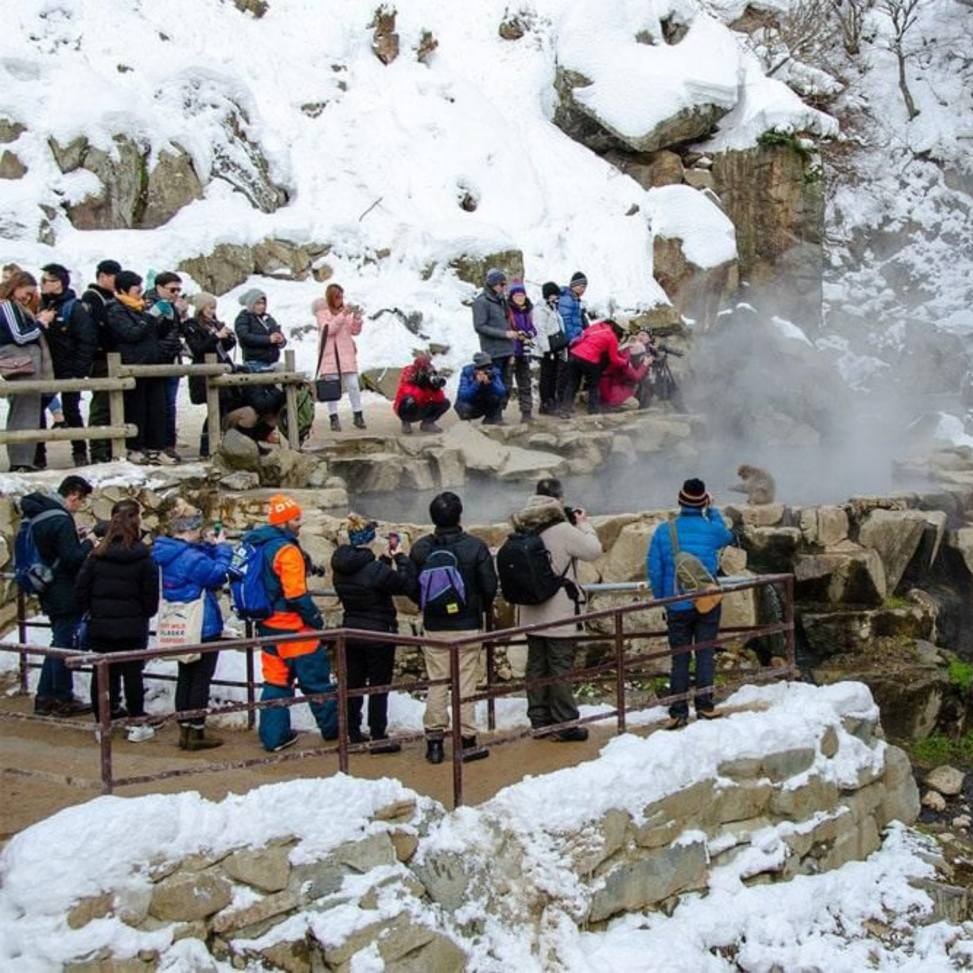 Nagano Snow Monkeys & Temples Private Full-Day Tour from Tokyo or Nagano
