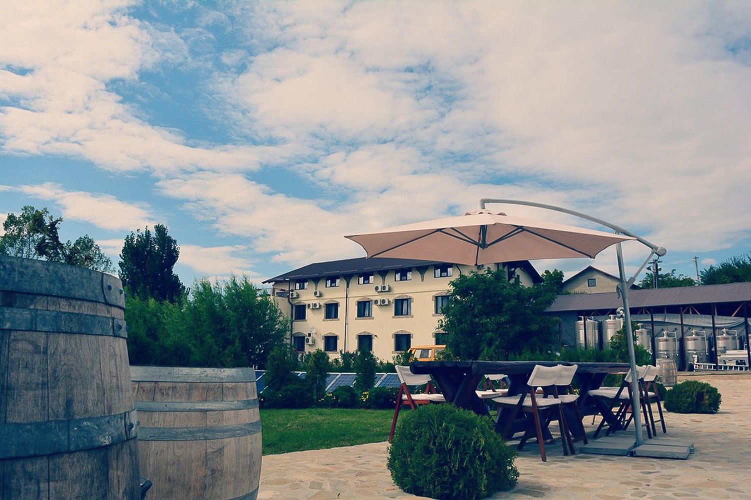 Exclusive Dealu Mare Wine Discovery from Bucharest