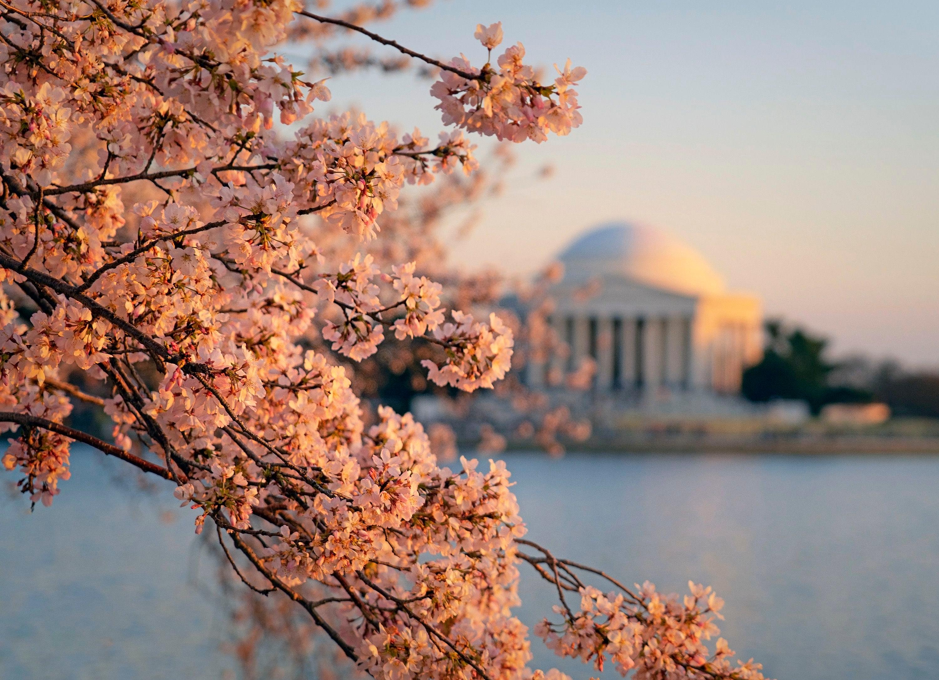 Four-Day Journey: Niagara Falls, Washington DC & Boston