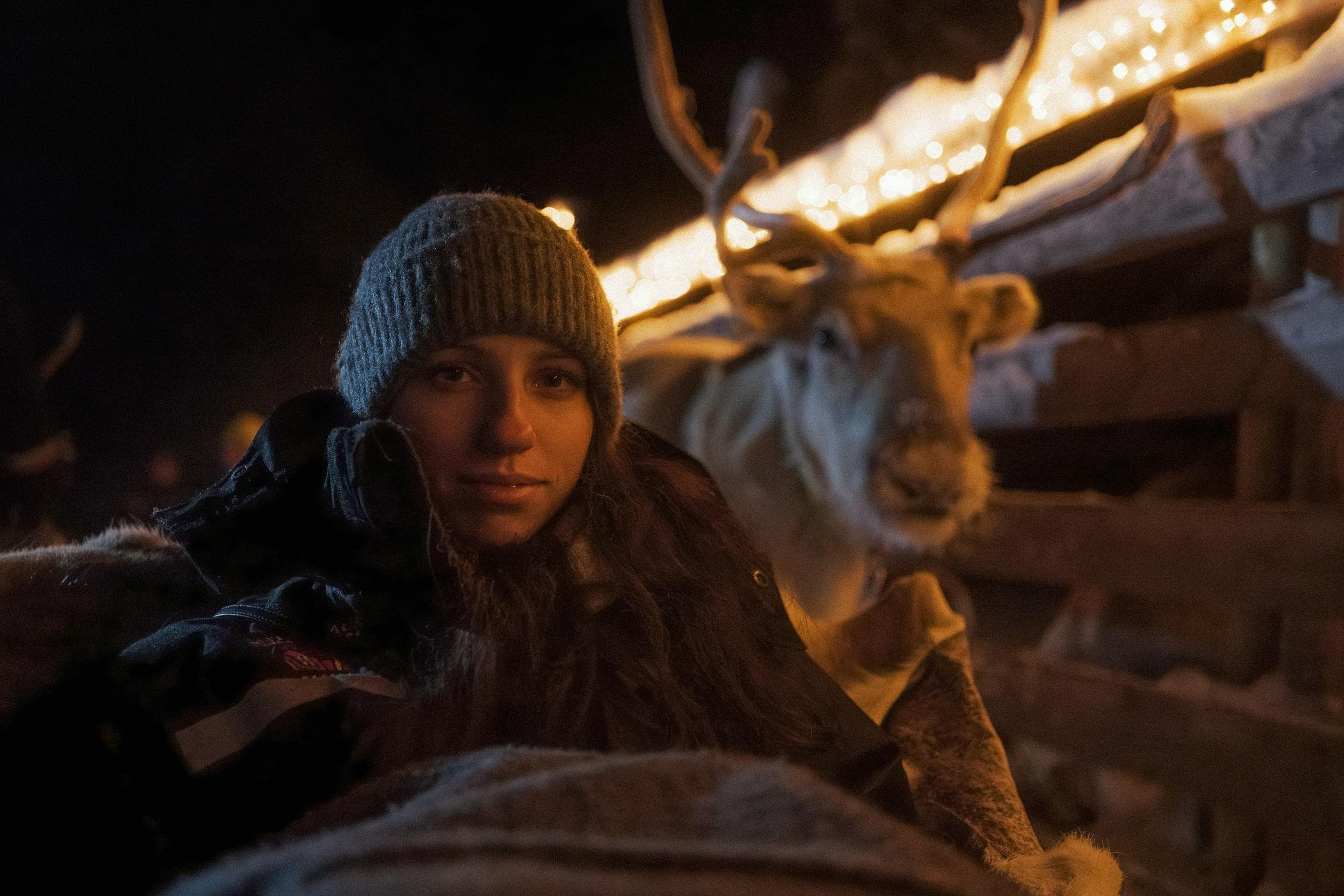 Rovaniemi Nighttime Reindeer Sleigh Safari