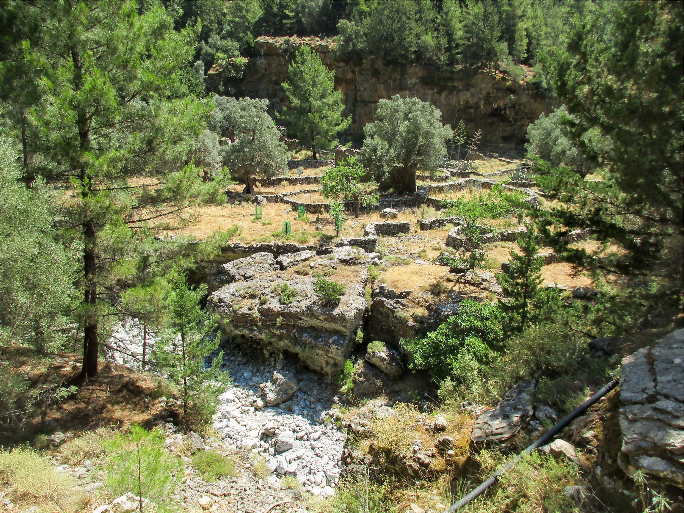 Samaria Gorge hike Crete — Xyloskalo descent, Iron Gates Sideroportes, kri-kri ibex, Agia Roumeli Libyan Sea — image 47