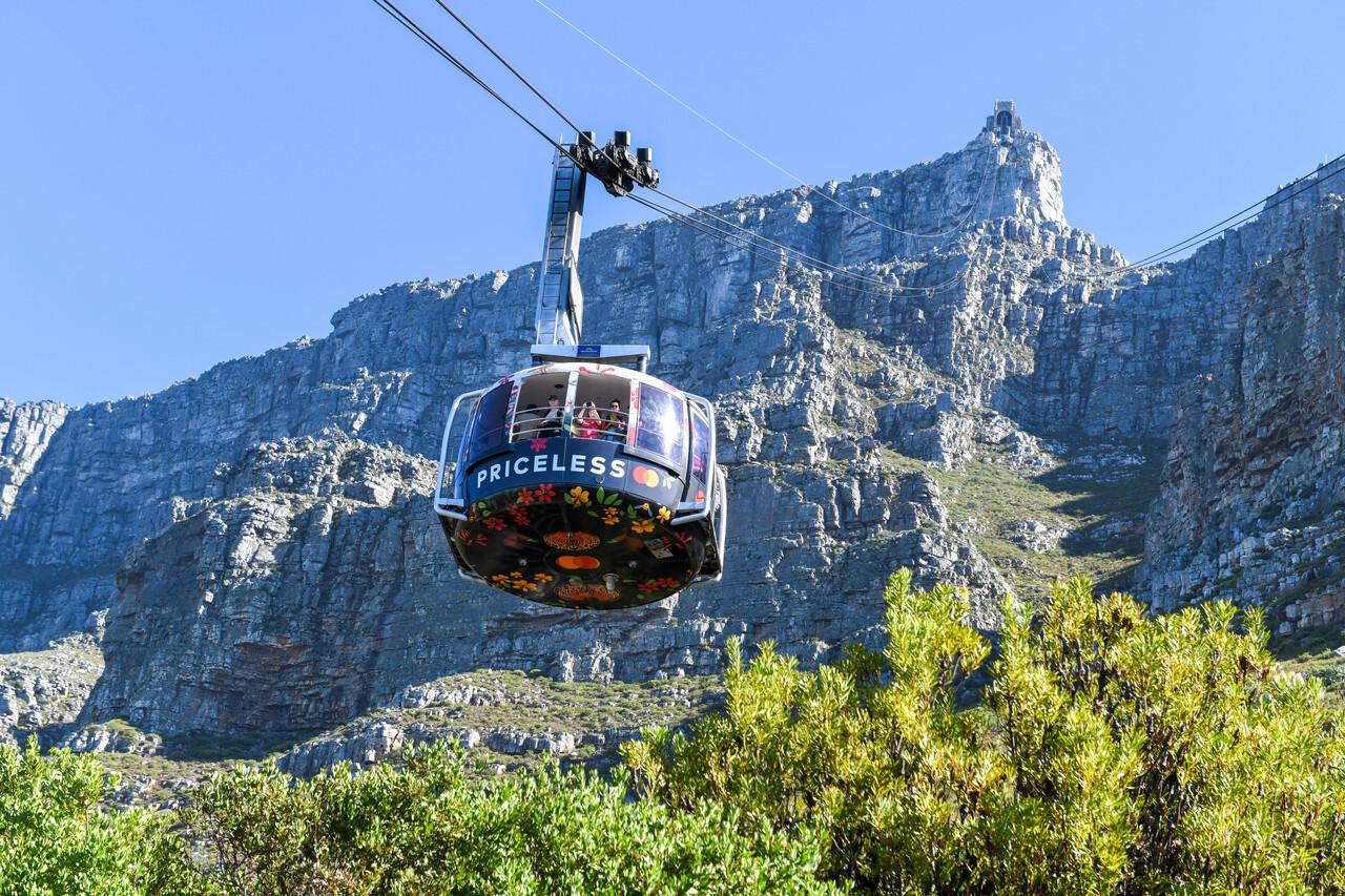 Table Mountain & Cape of Good Hope Full-Day Adventure