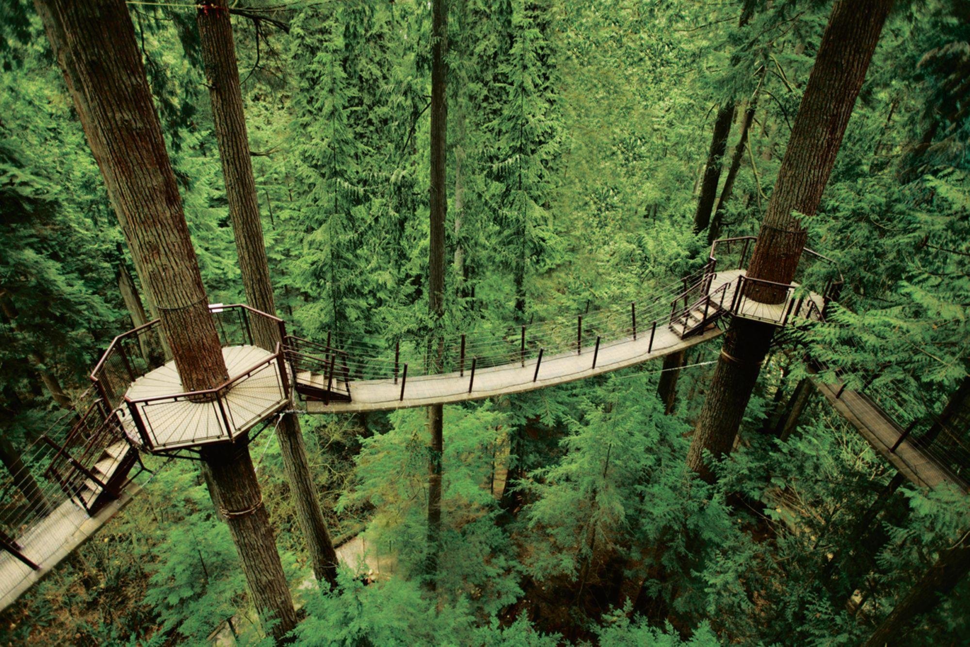 Vancouver North Shore Discovery: Grouse Mountain & Capilano Bridge