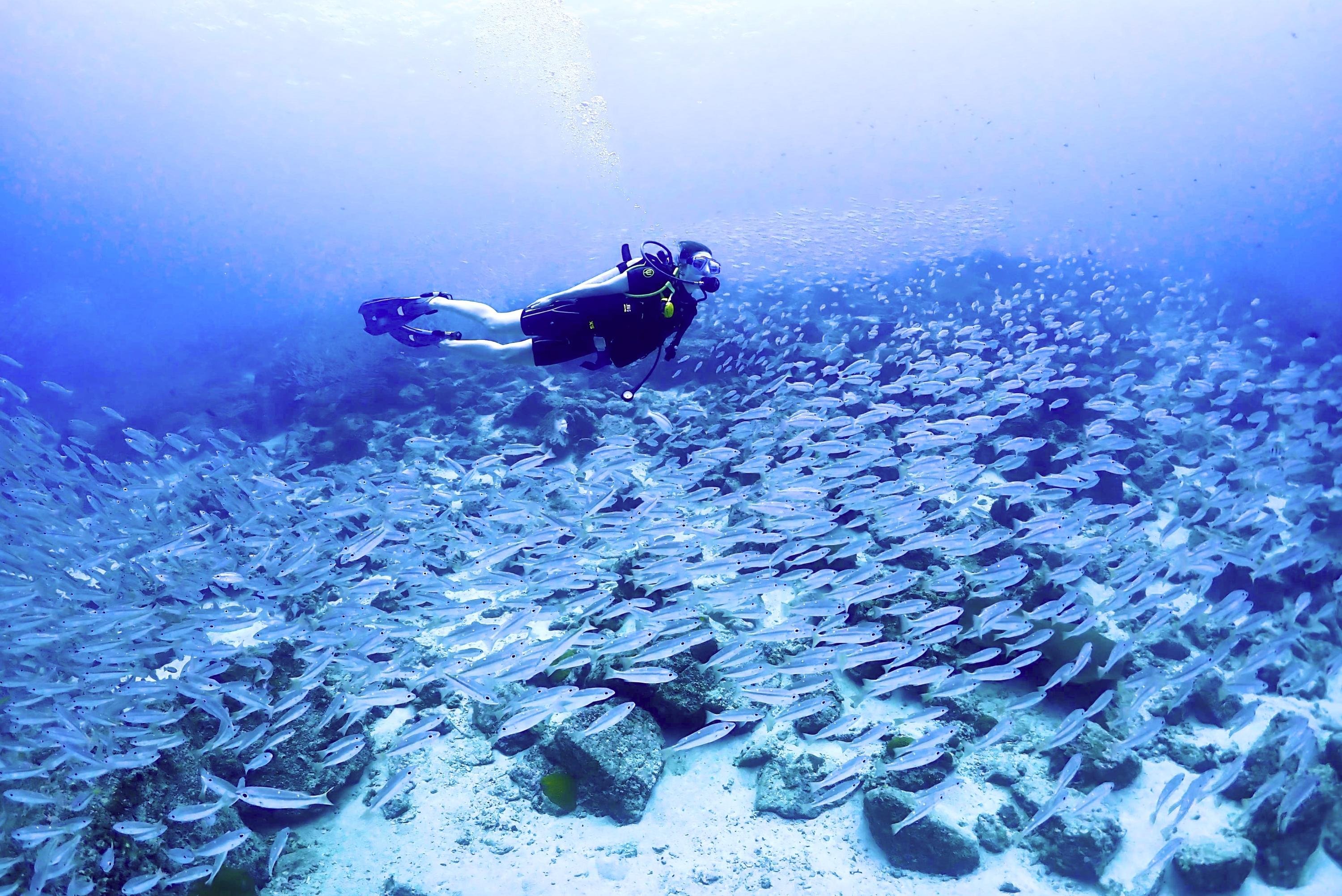 Phuket: Racha & Maiton Islands Scuba Diving for All Levels