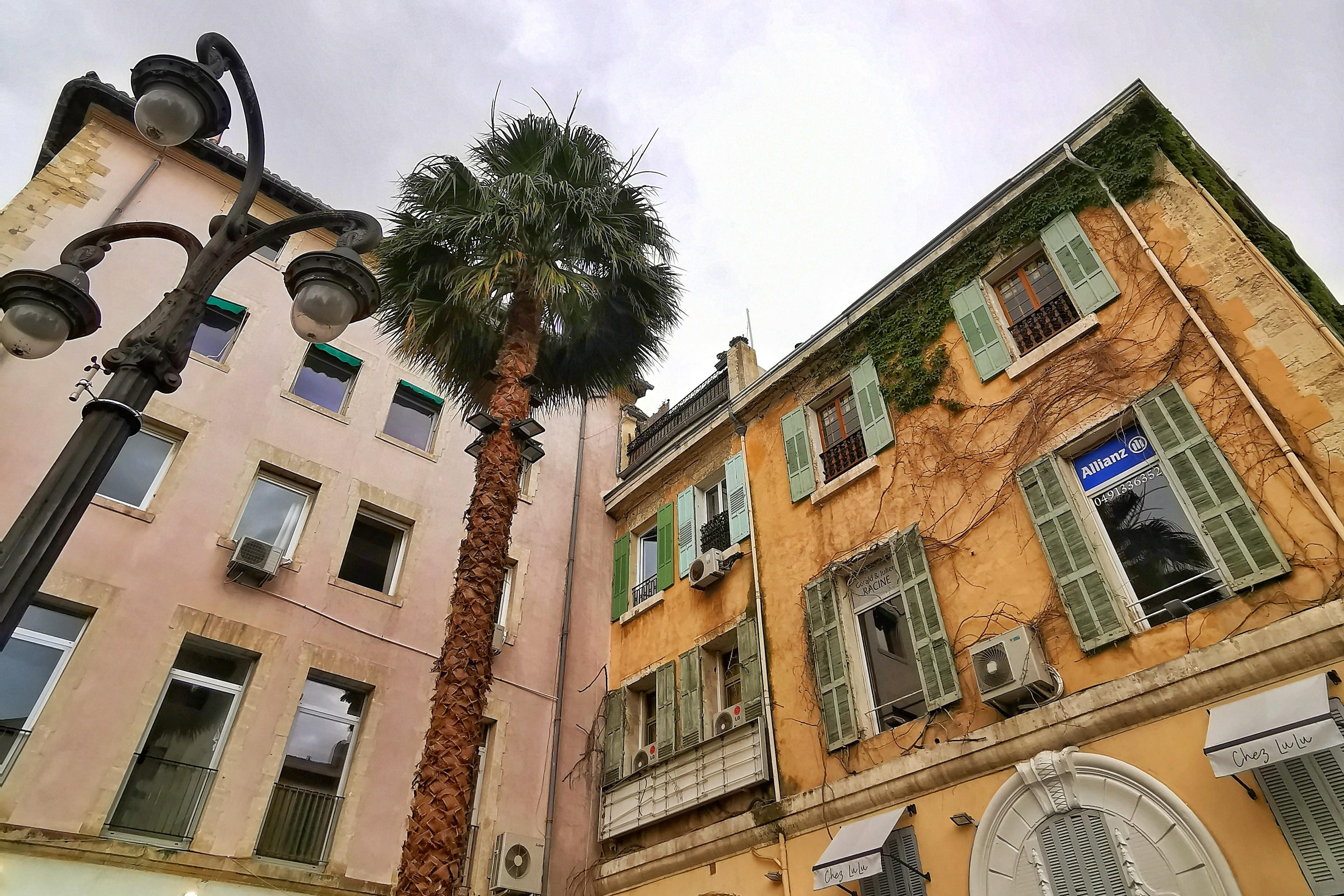 food tour in Marseille — photo 15