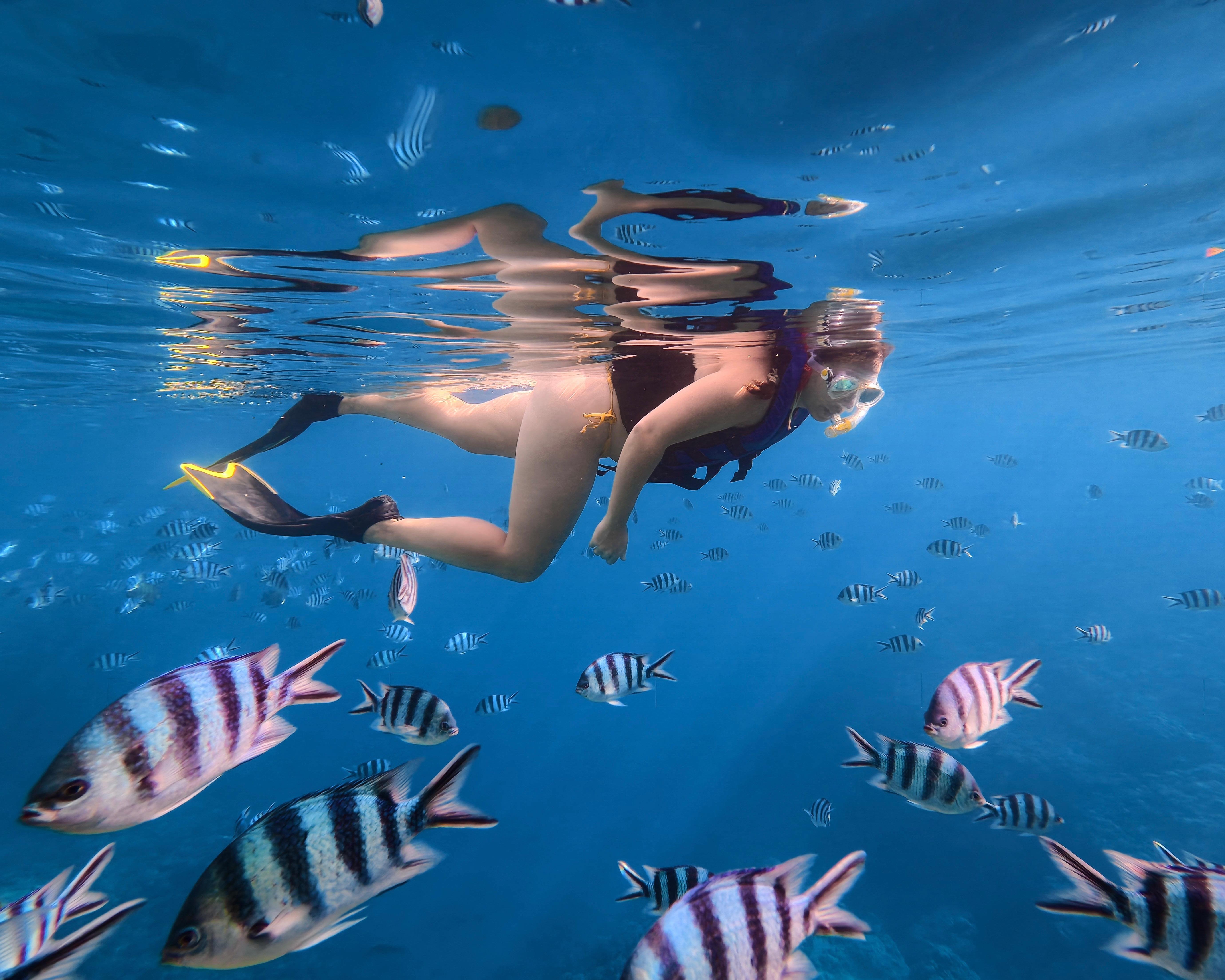 Blue Cave Okinawa snorkelling at Cape Maeda, Onna Village — image 2