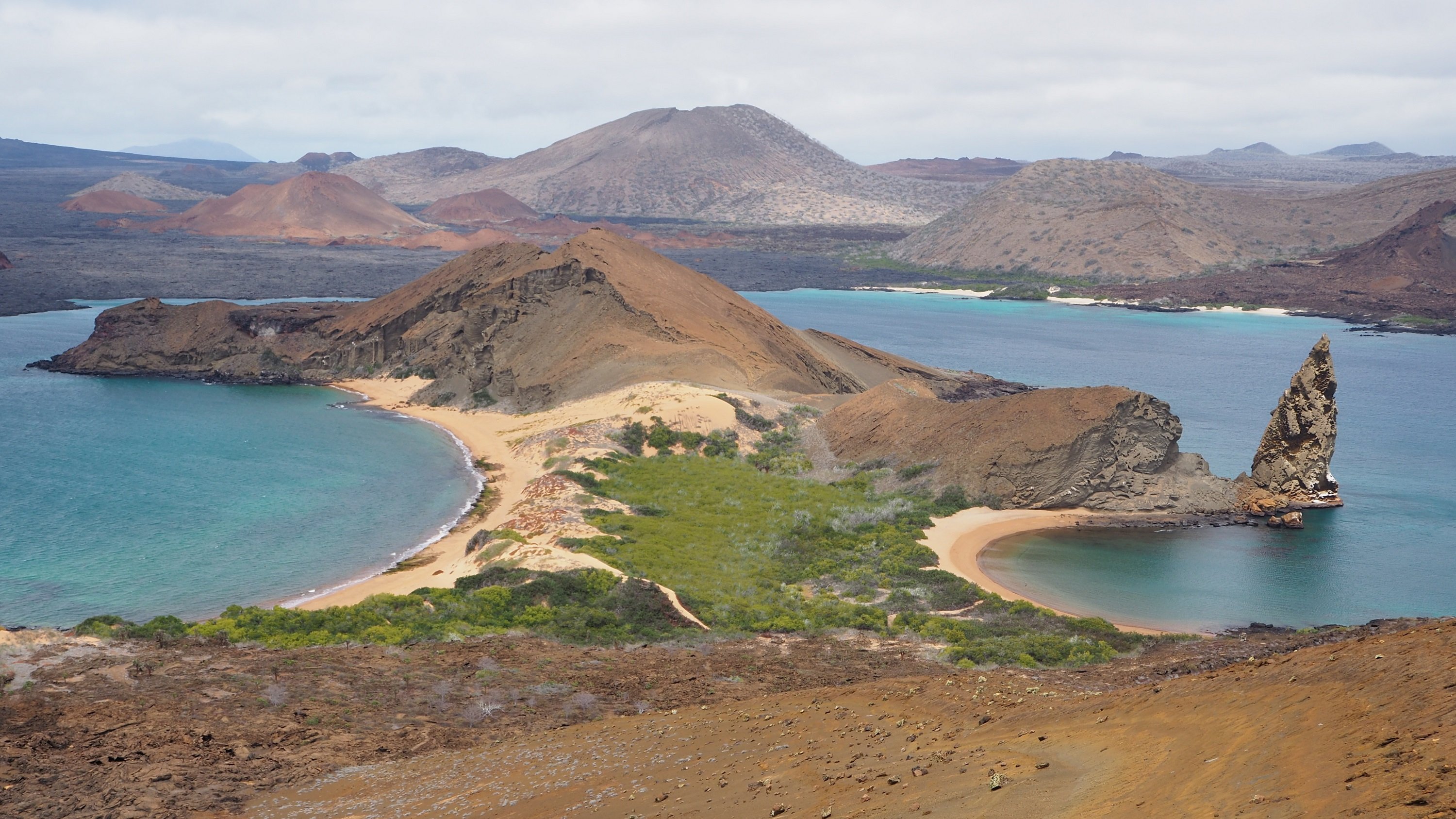 Bartolomé Island Wildlife & Snorkeling Adventure