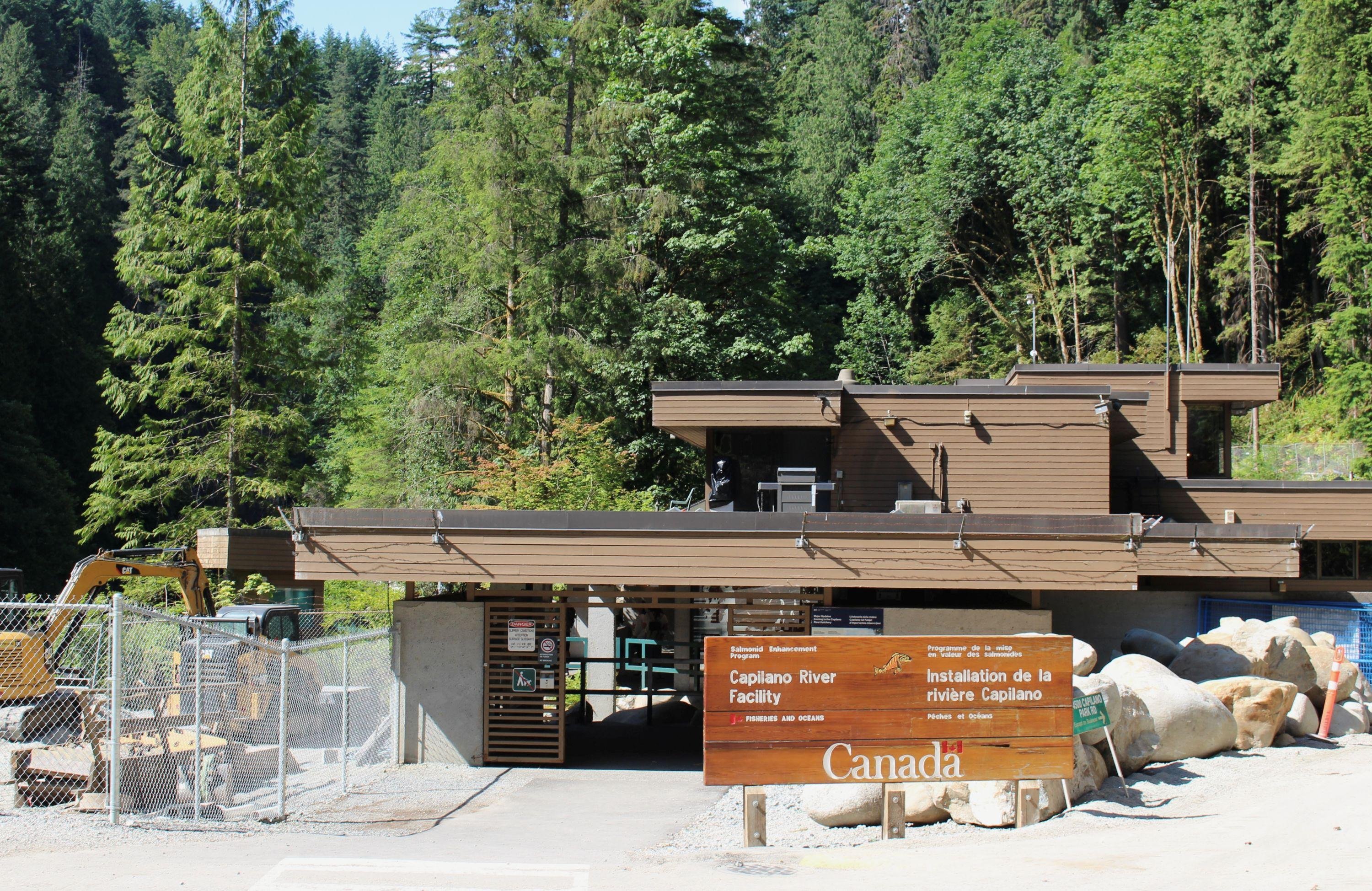 Vancouver North Shore Discovery: Grouse Mountain & Capilano Bridge