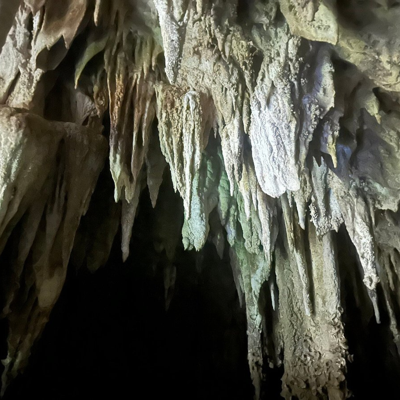 Siargao Island Discovery with Caves, Jellyfish & Beach Lunch