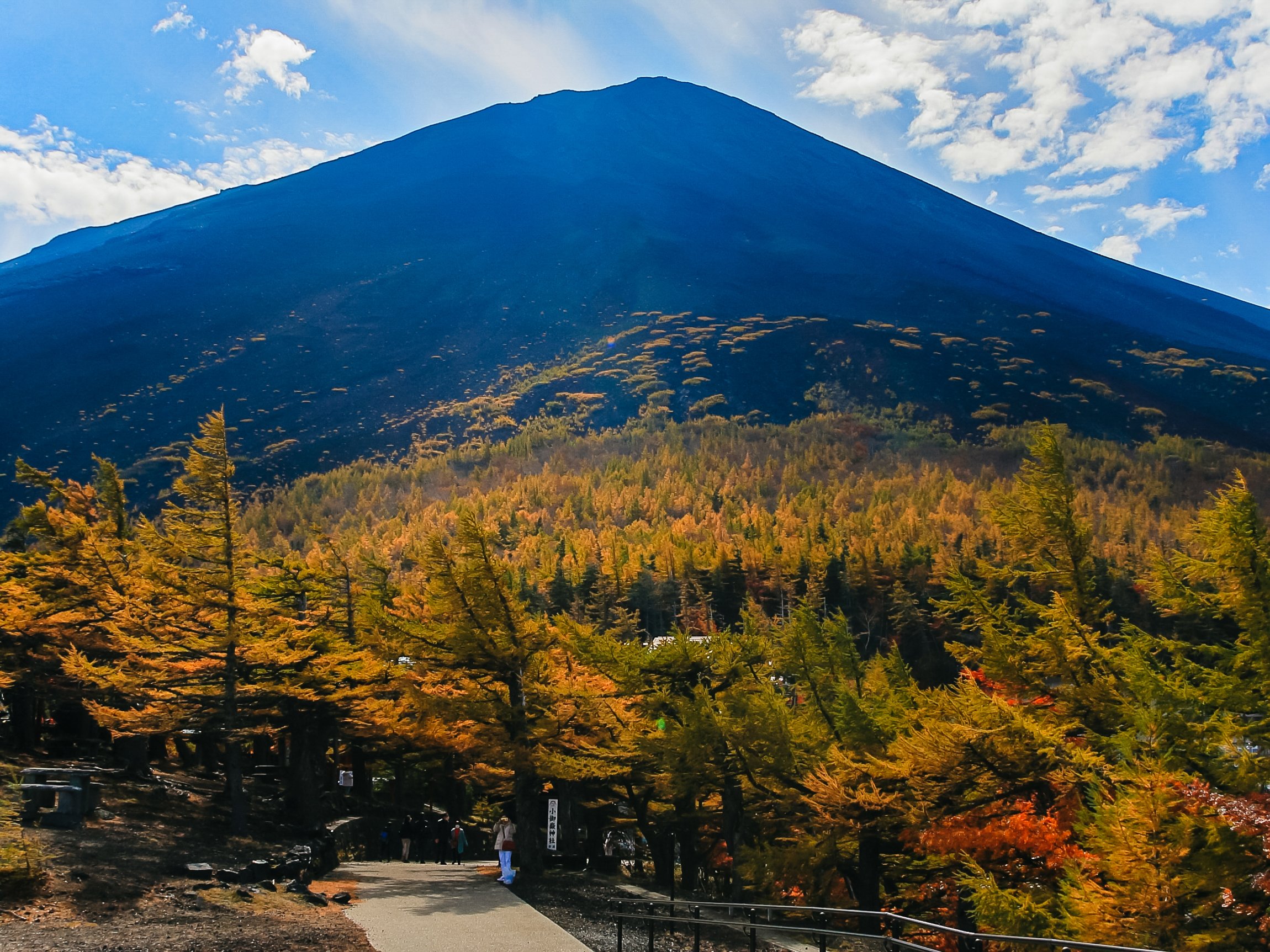 Tokyo to Mt. Fuji, Hakone & Bullet Train Day Tour