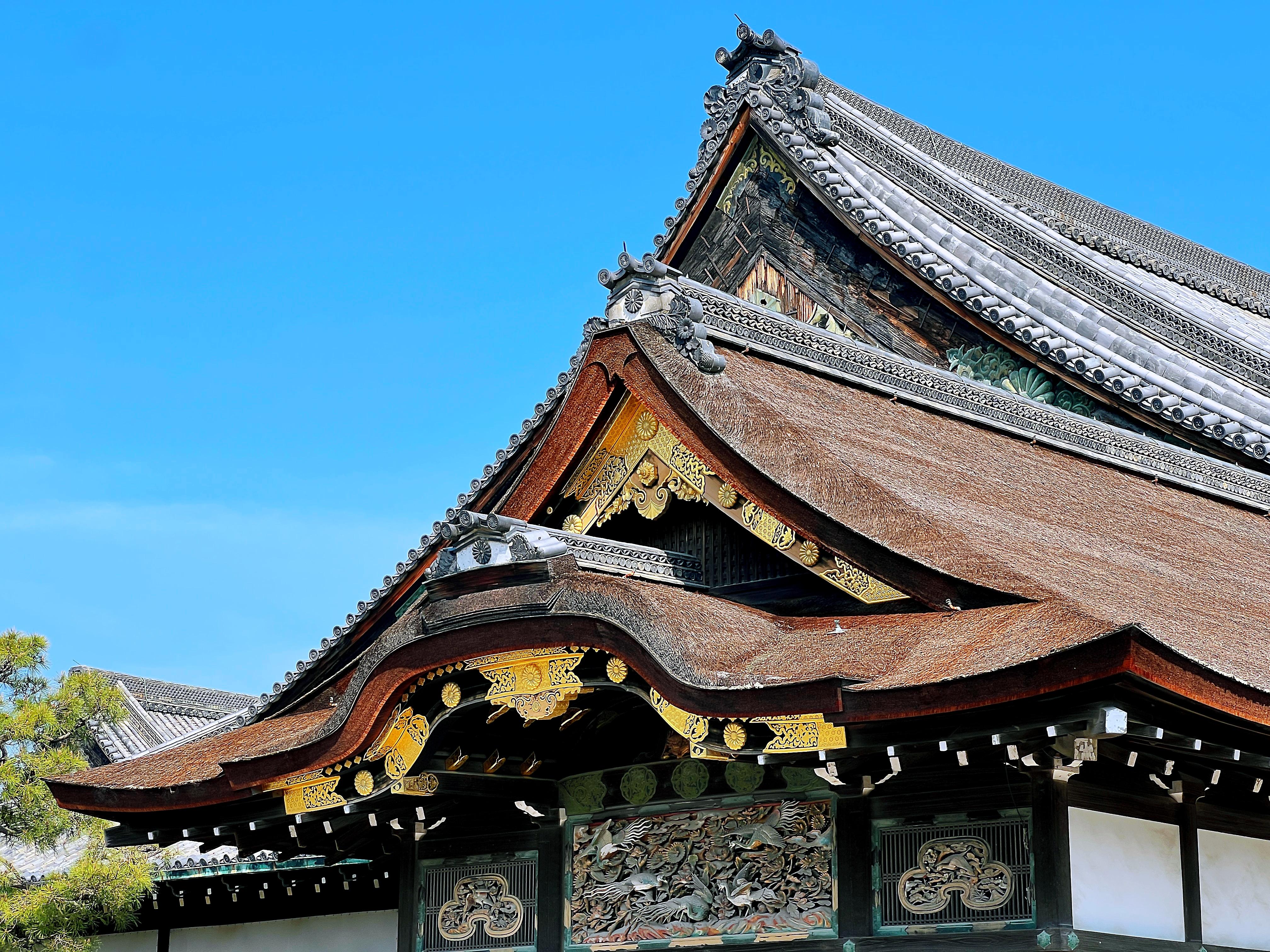 Kyoto Nijo-jo Castle: Private Samurai & Shogun History Tour