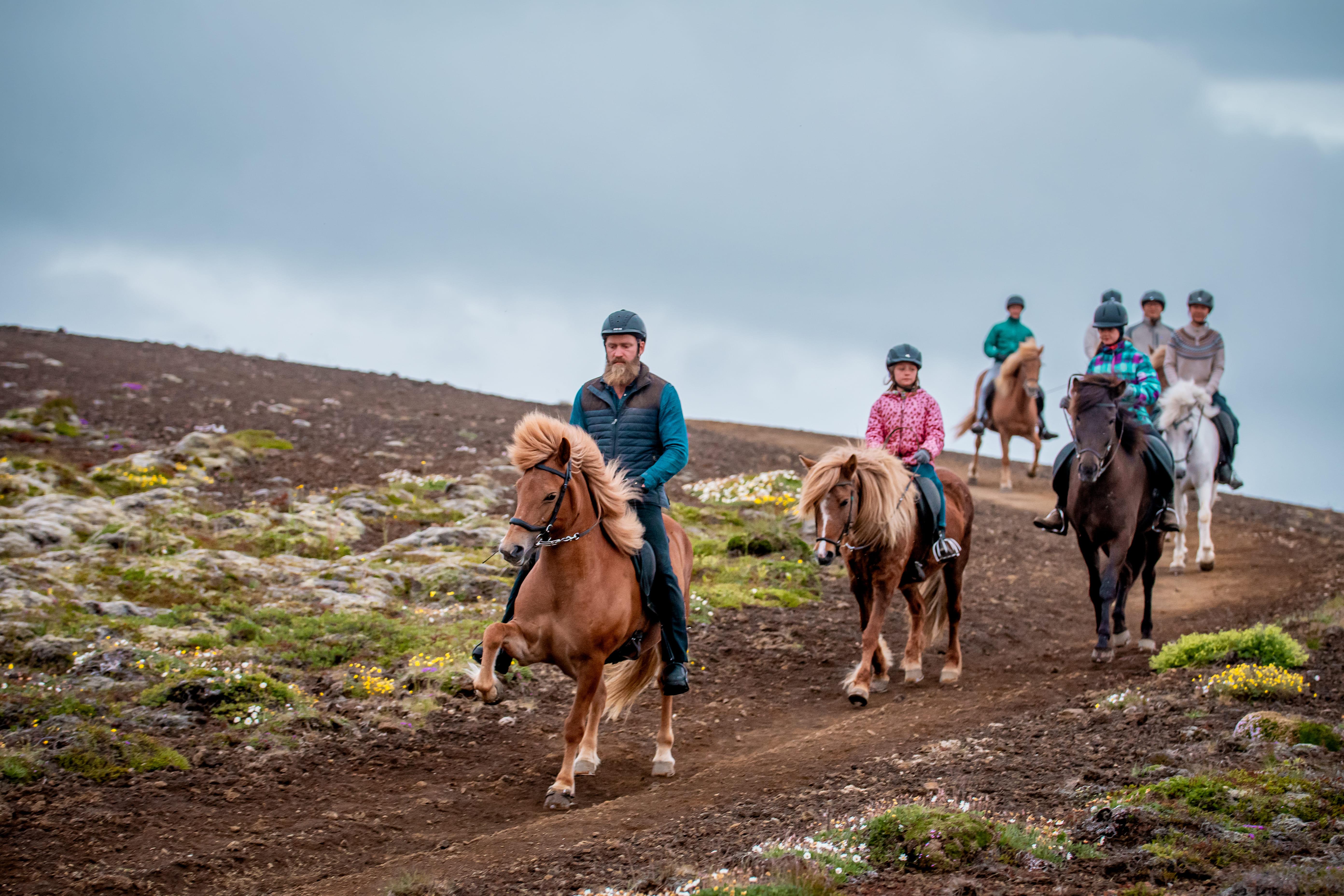 Mjölnir Afternoon Horse Riding Adventure
