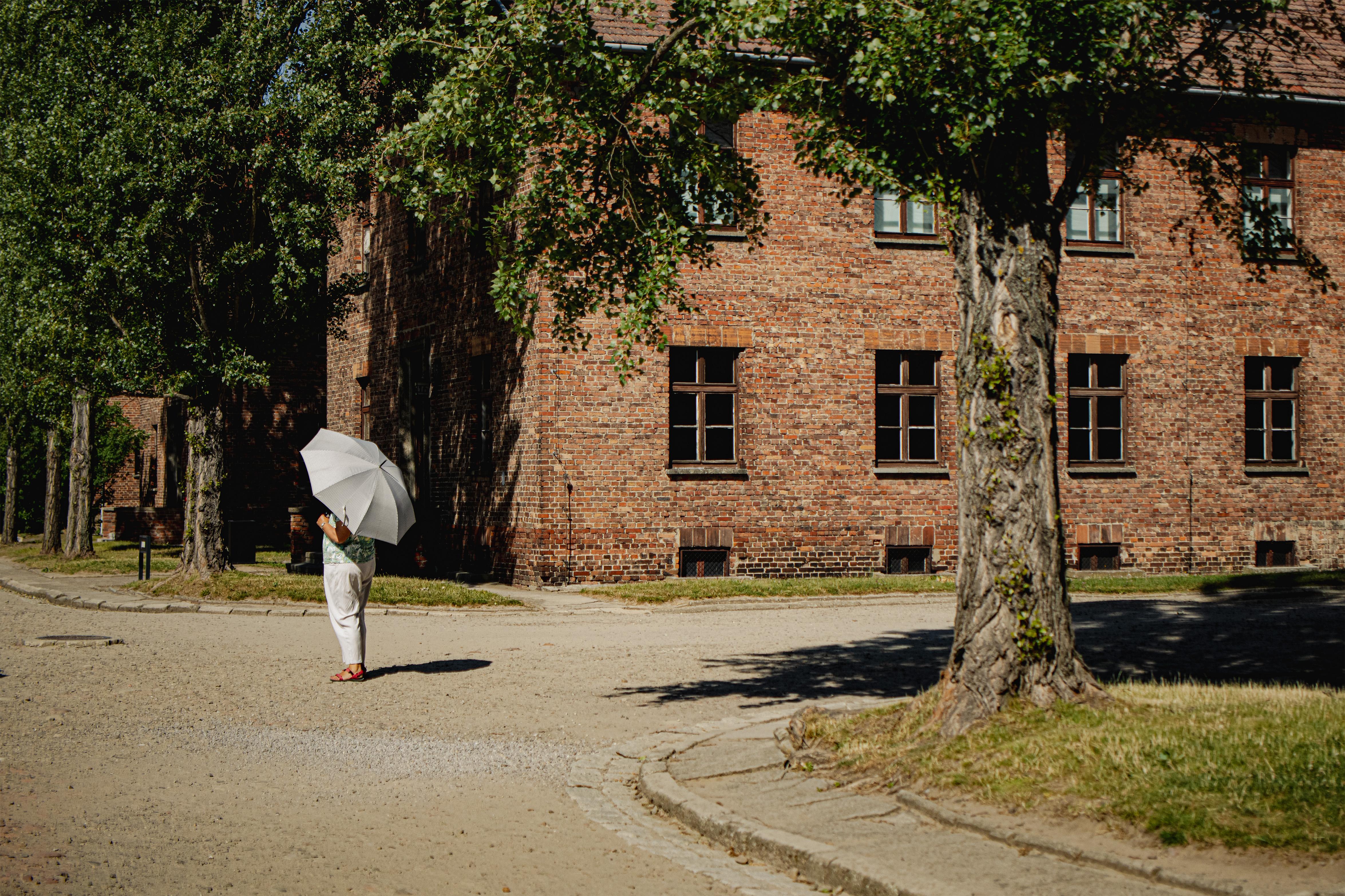 Wycieczka do Auschwitz-Birkenau z przewodnikiem i transportem z Krakowa
