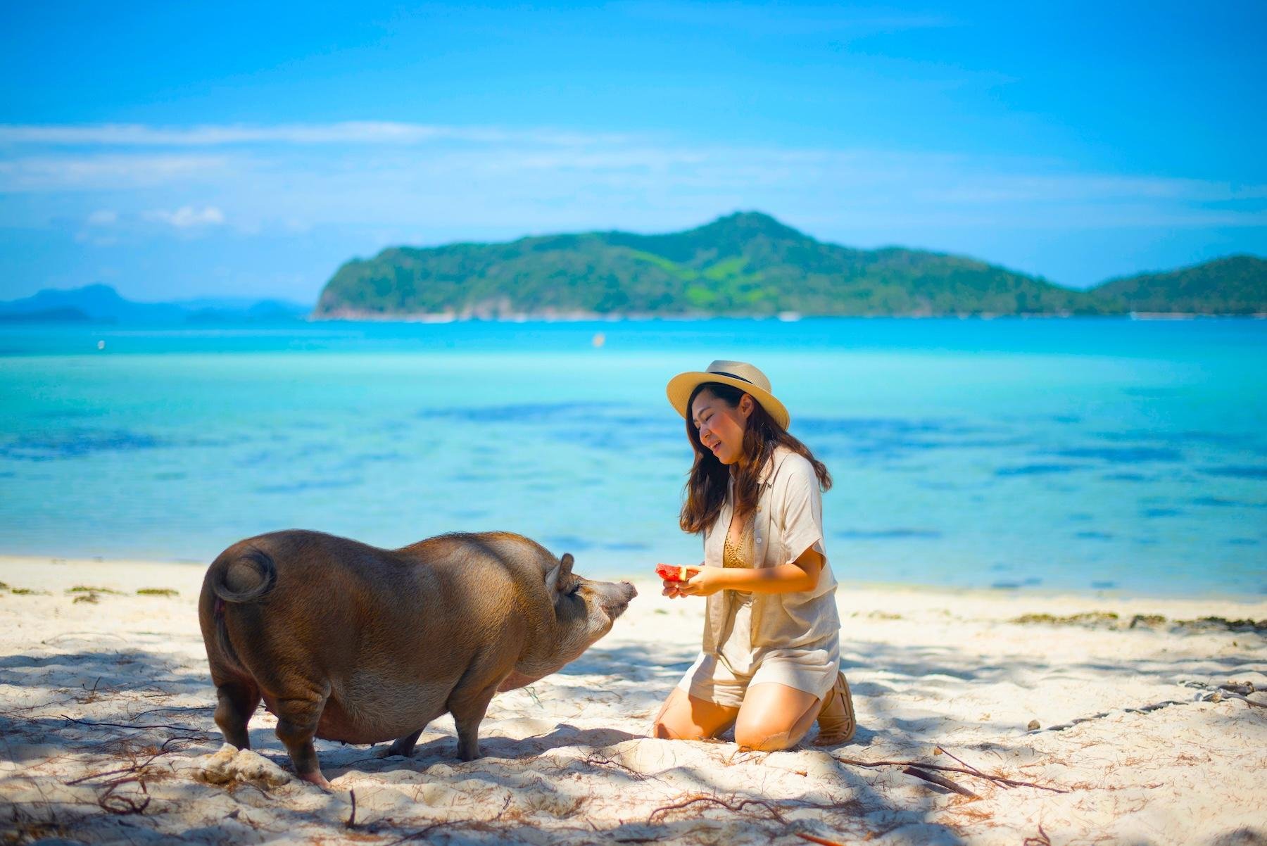 Private Longtail Boat Tour: Koh Madsum Pig Island & Snorkeling